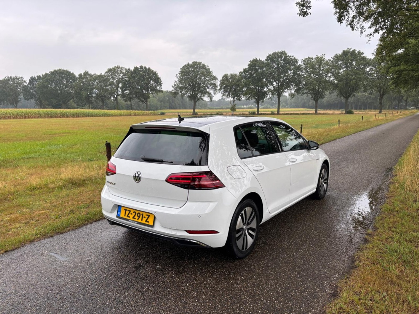 Foto van Volkswagen E-golf