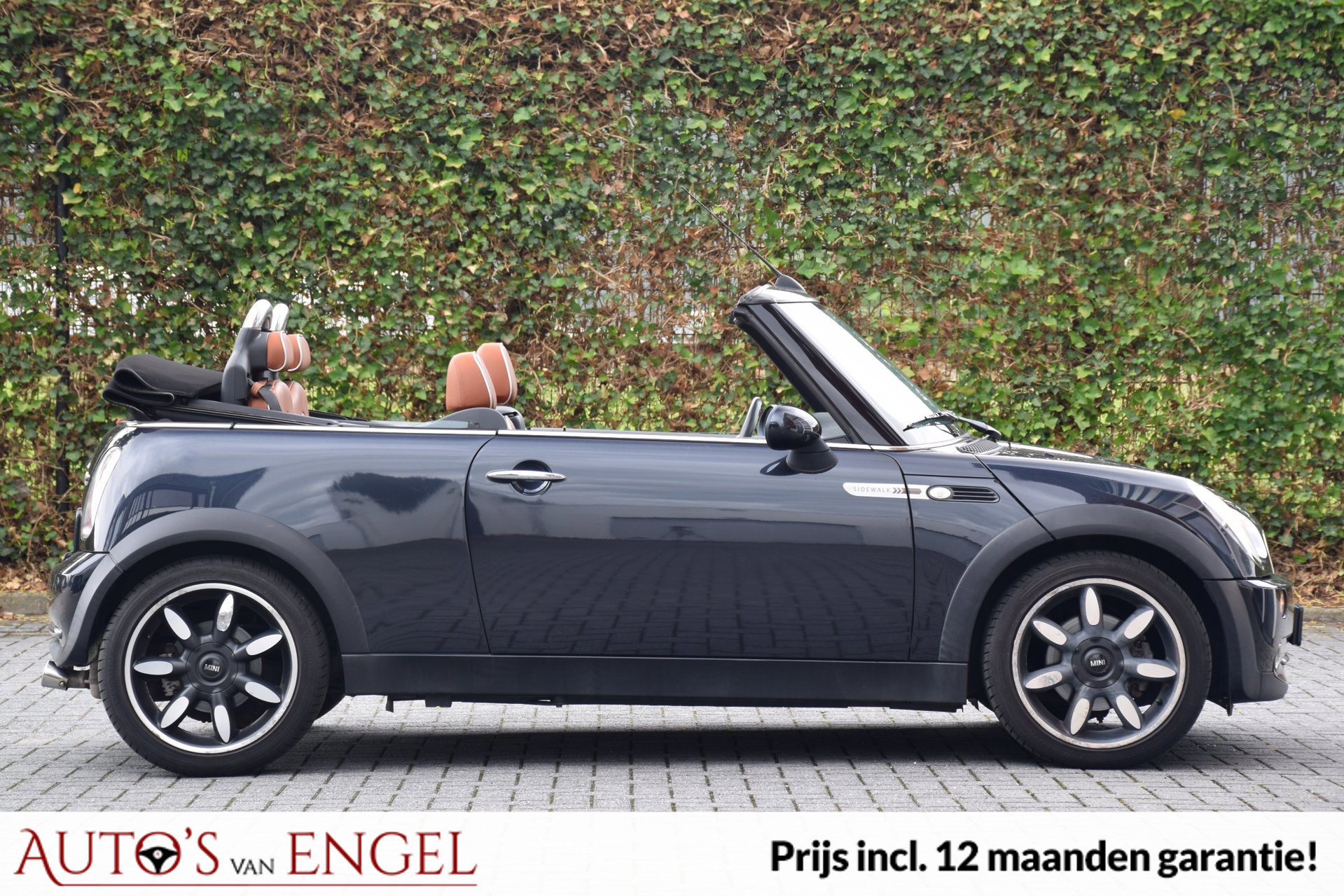 Foto van Mini Mini Cooper