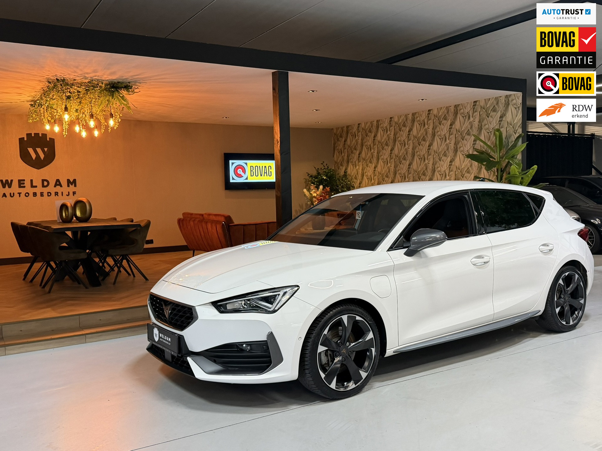 Cupra Cupra Leon E-hybrid150 1.4 e-Hybrid Sport SOH 99.5%|Garantie|CarPlay|ACC|KeylessGO&Entry|Autopilot|Kruipstoelen|Stoel&Stuurvw|Rijklaar 2022 - voorkant