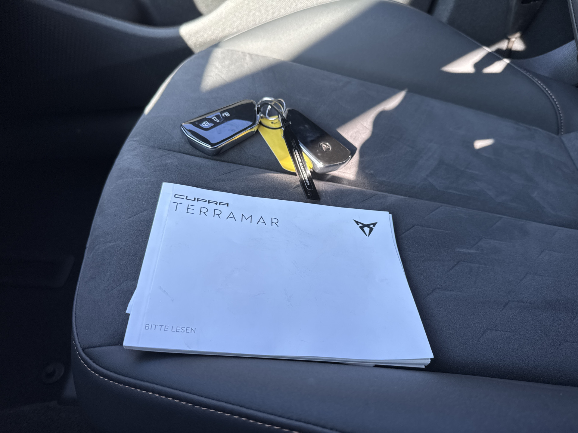 Foto van Cupra Terramar