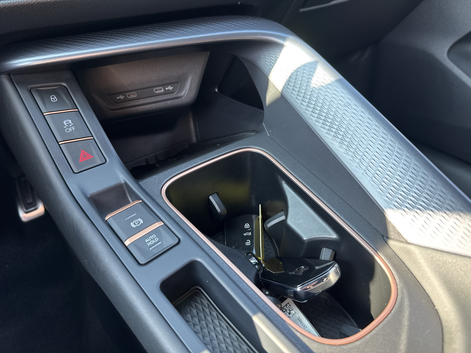 Foto van Cupra Terramar