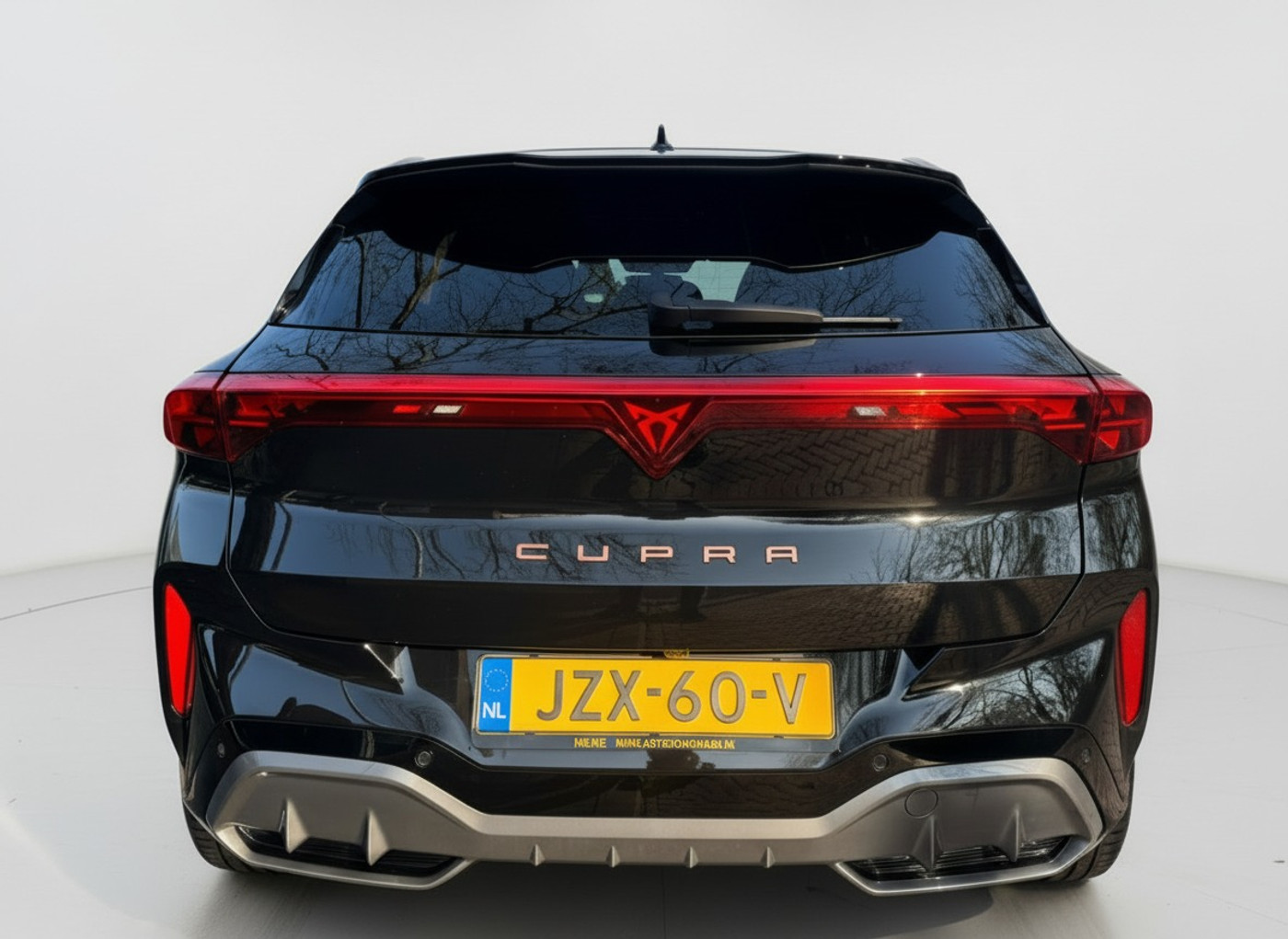 Foto van Cupra Terramar