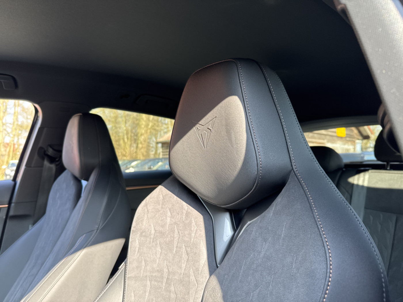 Foto van Cupra Terramar