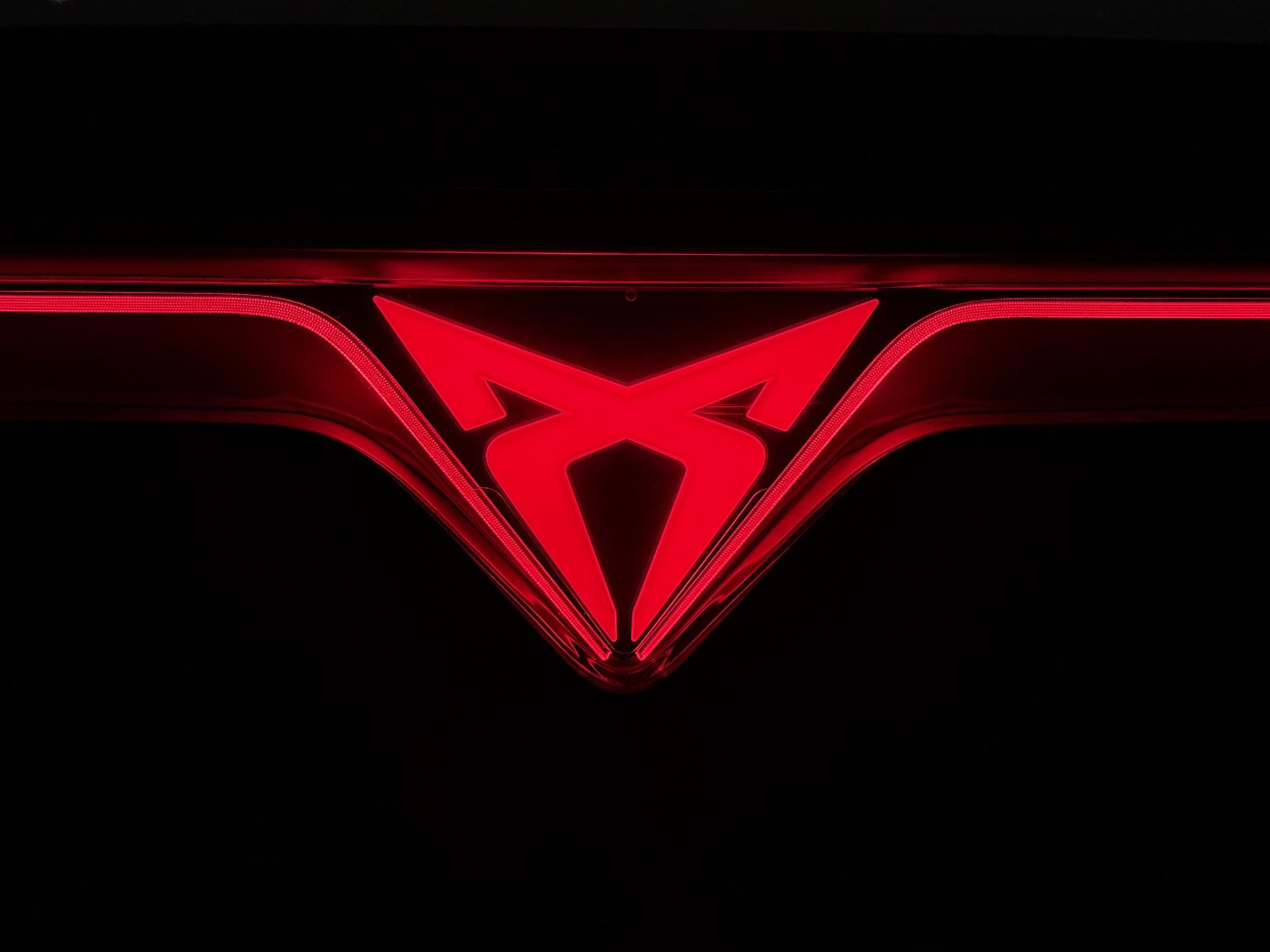 Foto van Cupra Tavascan