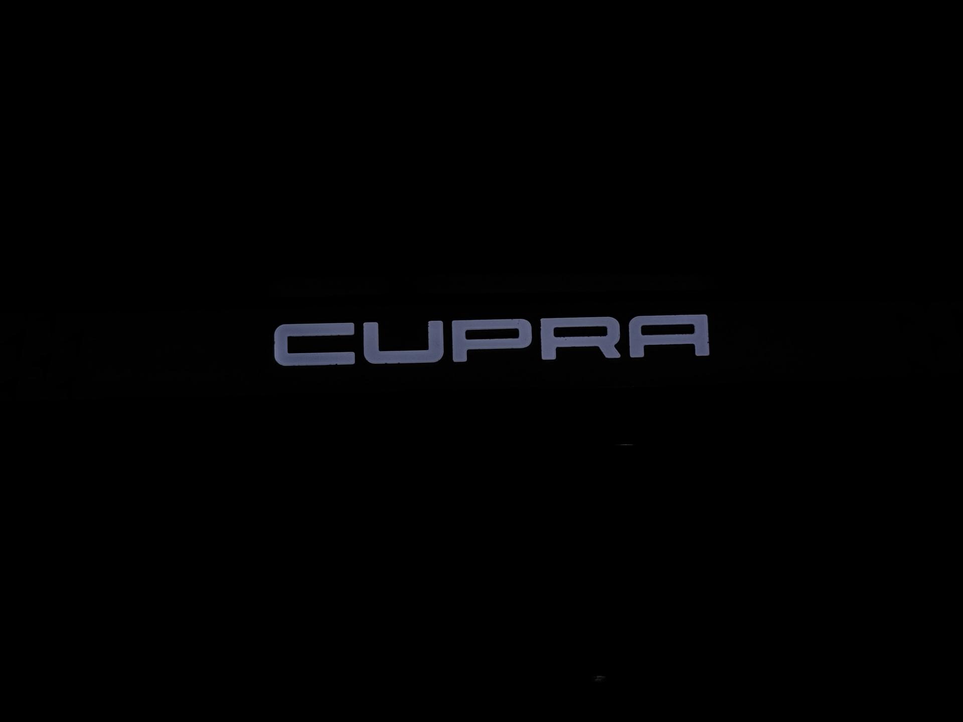 Foto van Cupra Tavascan