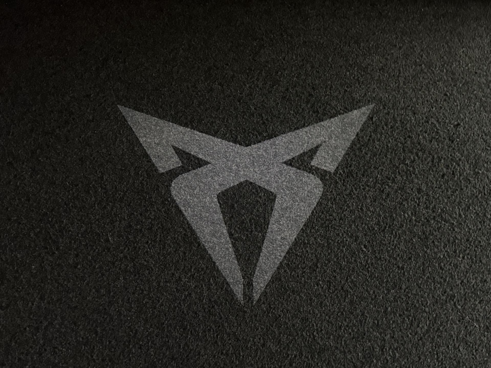 Foto van Cupra Terramar E-hybrid
