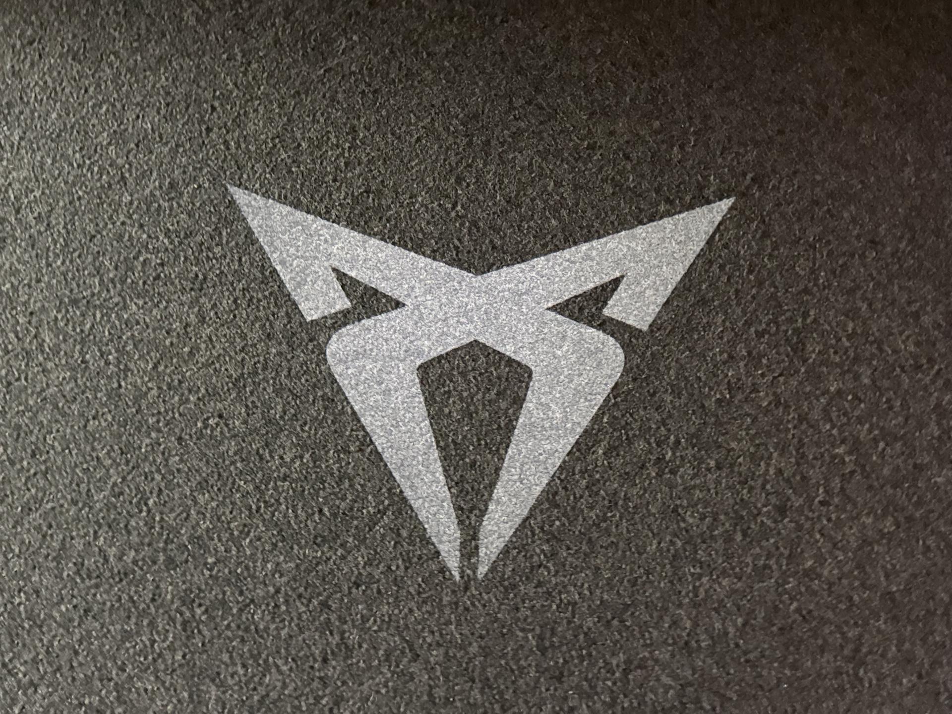 Foto van Cupra Terramar E-hybrid