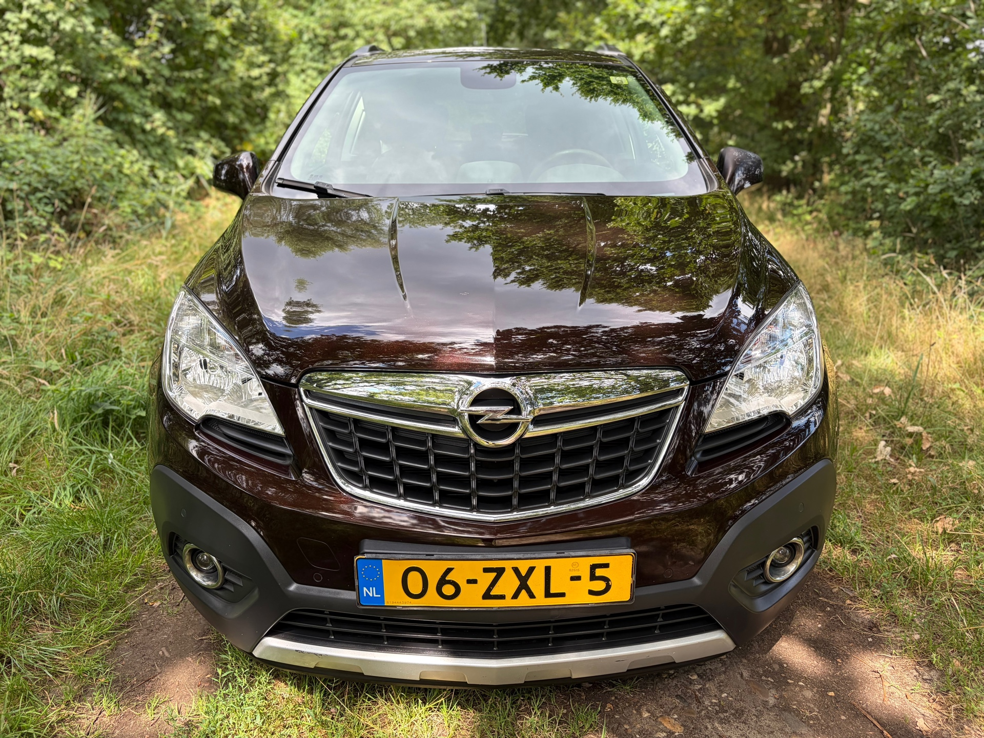 Foto van Opel Mokka