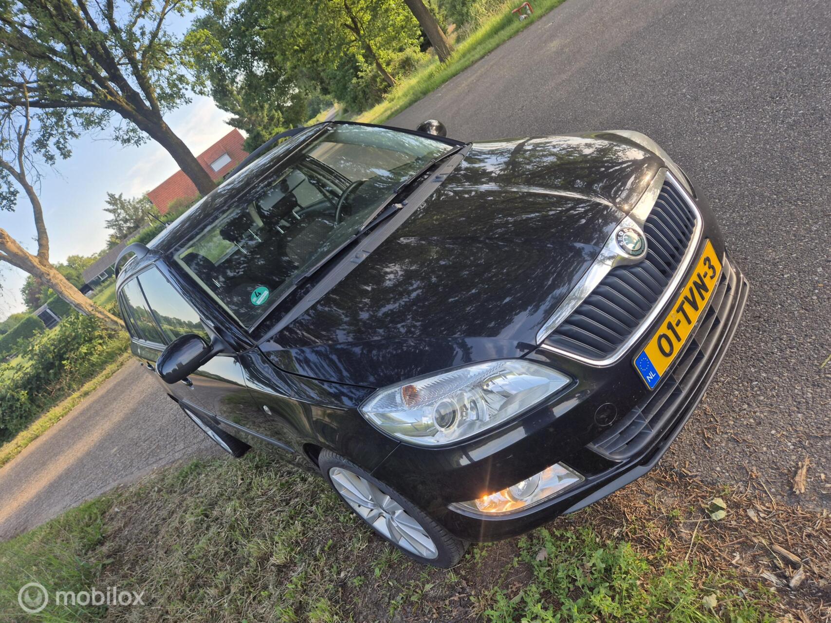 Skoda Fabia 1.2 TDI Greenline Businessline 2012 - voorkant