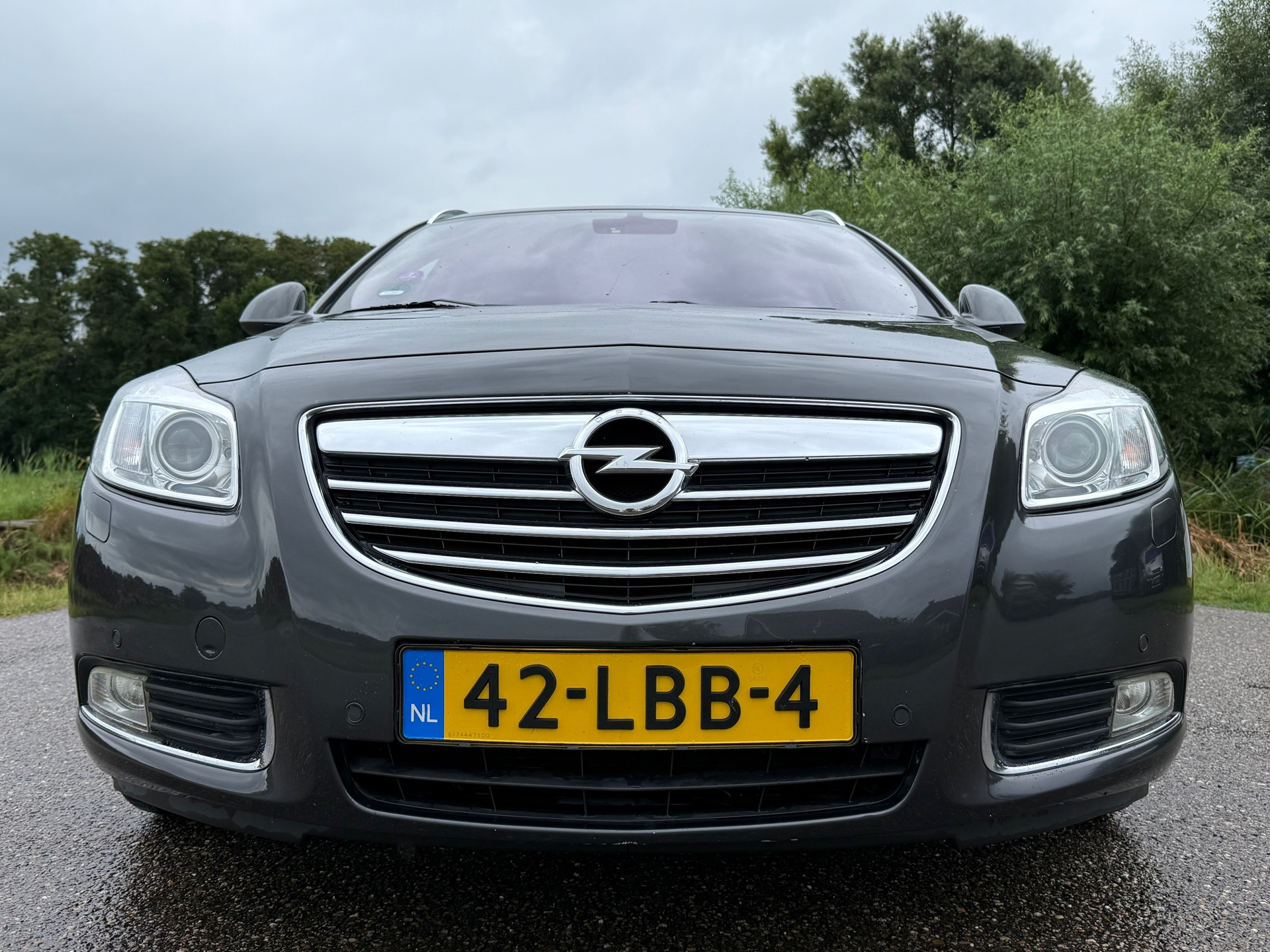Foto van Opel Insignia Sports Tourer