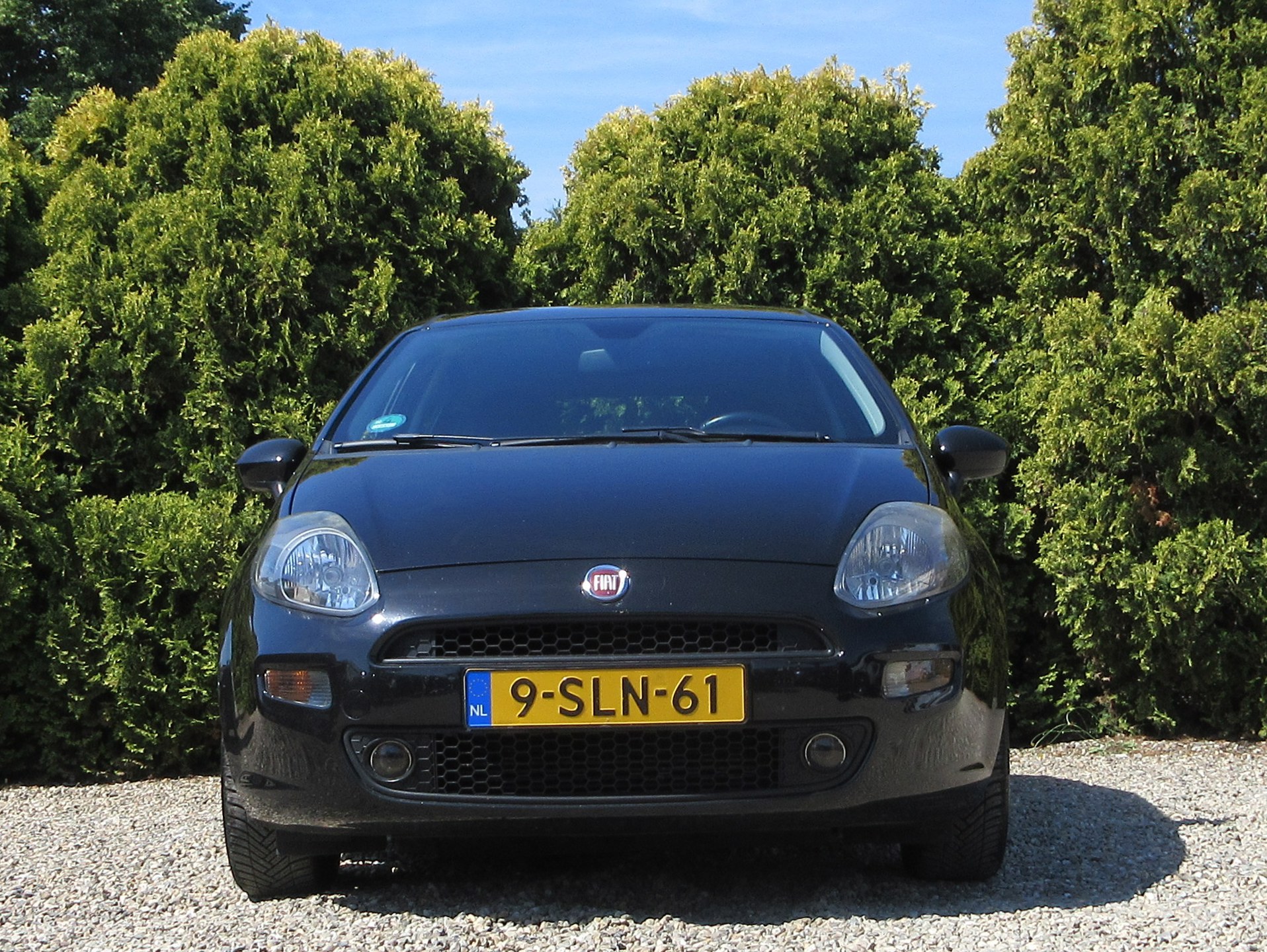 Foto van Fiat Fiat Punto