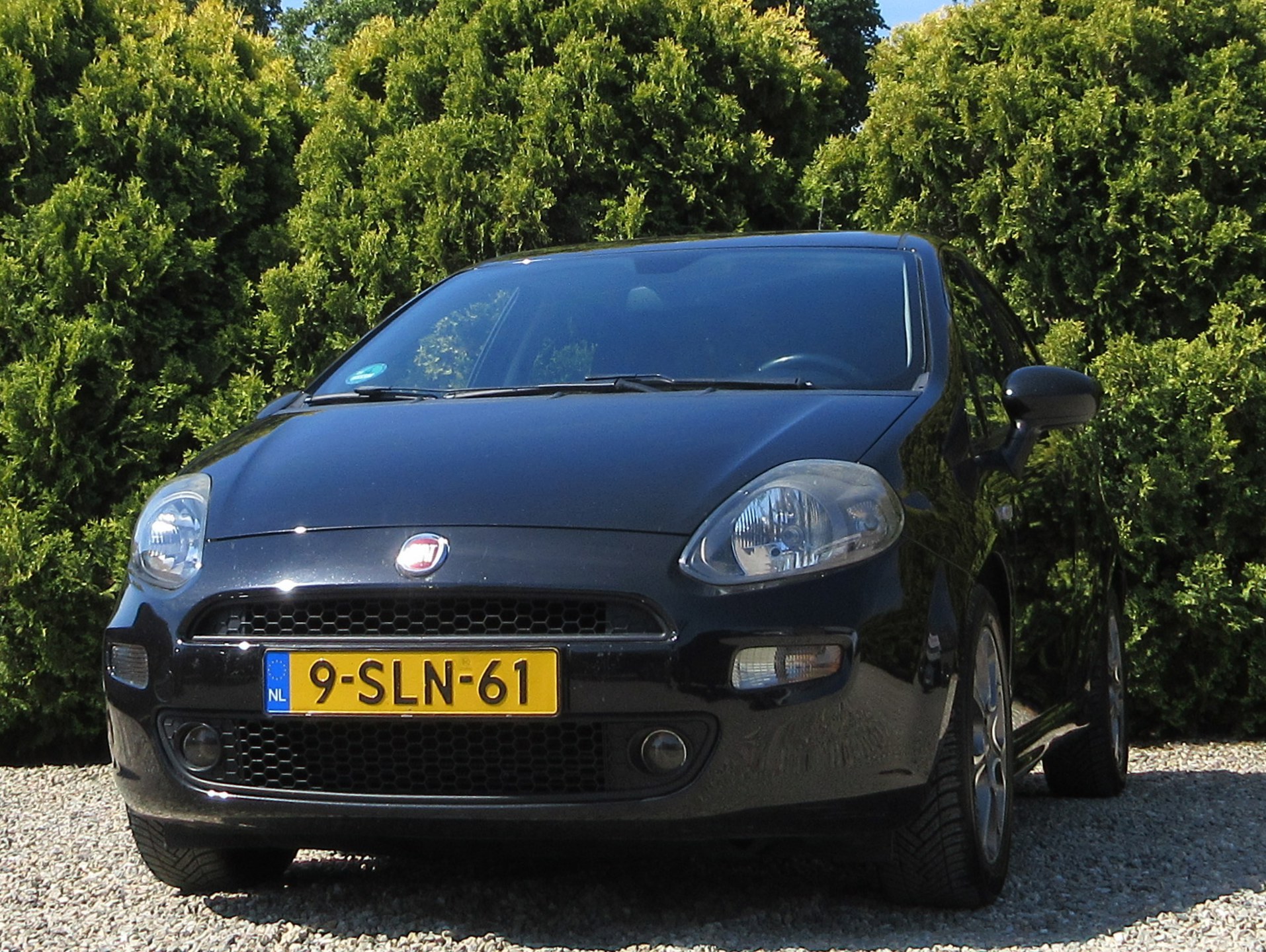 Foto van Fiat Fiat Punto