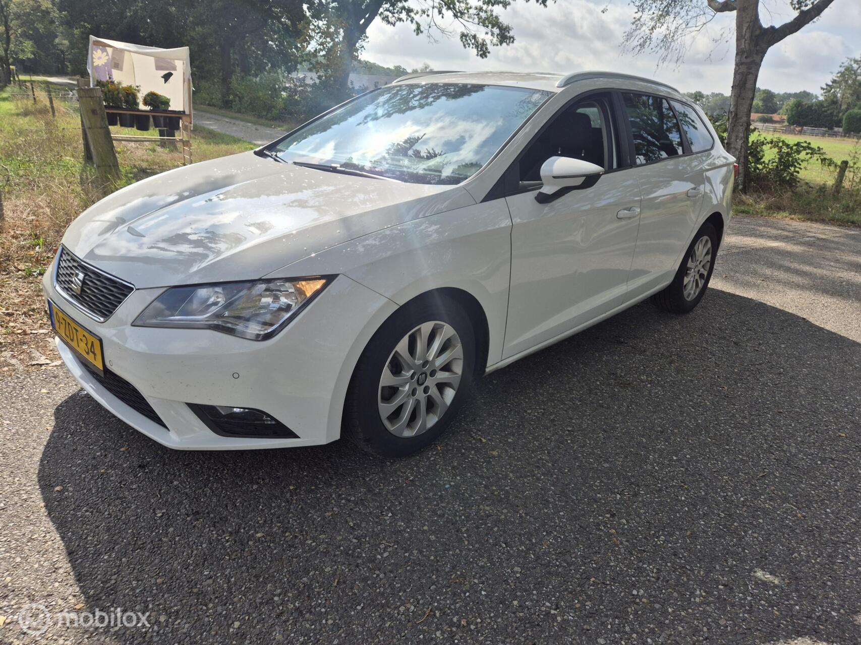 Foto van Seat Leon ST