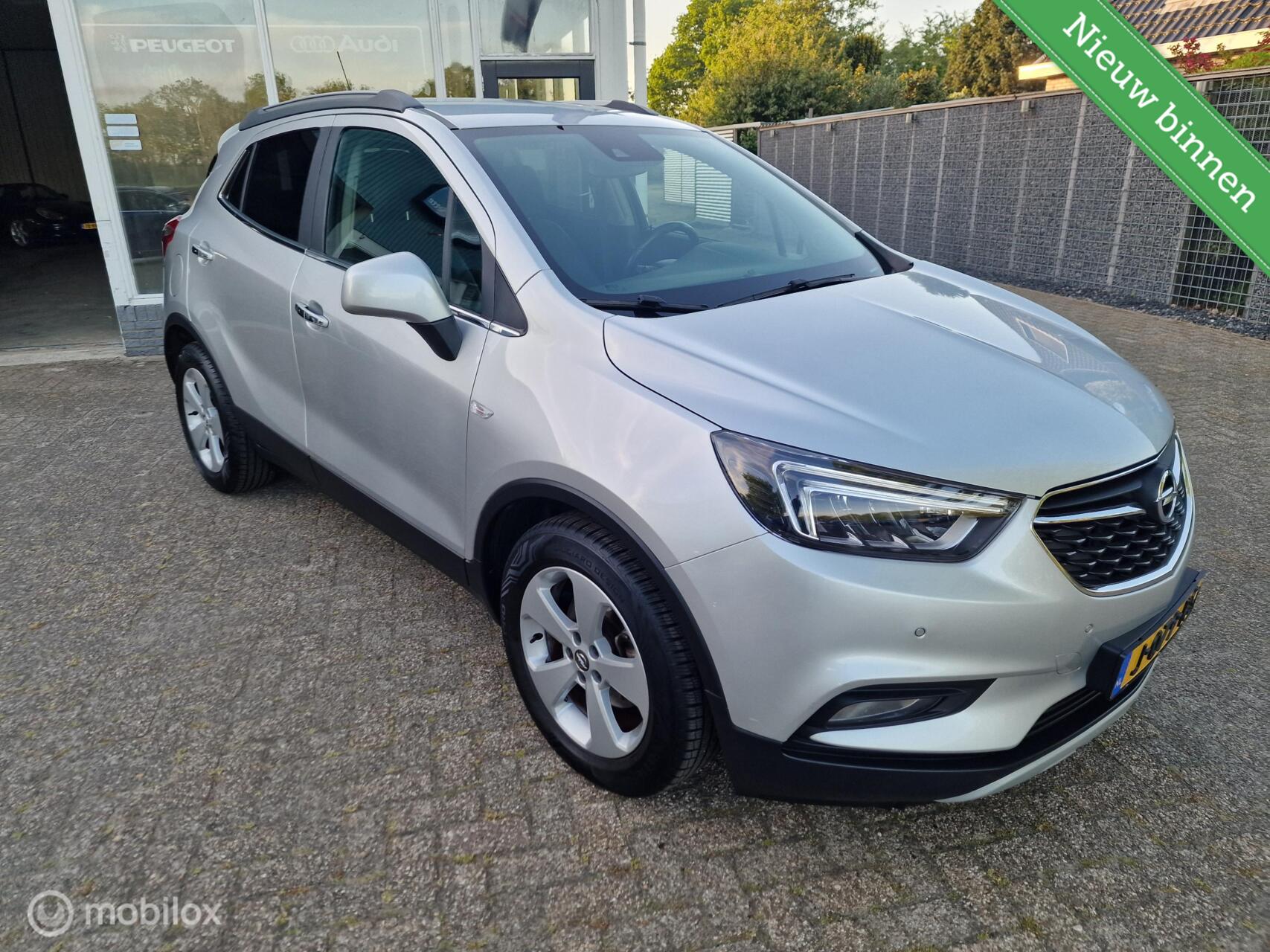 Foto van Opel Mokka X