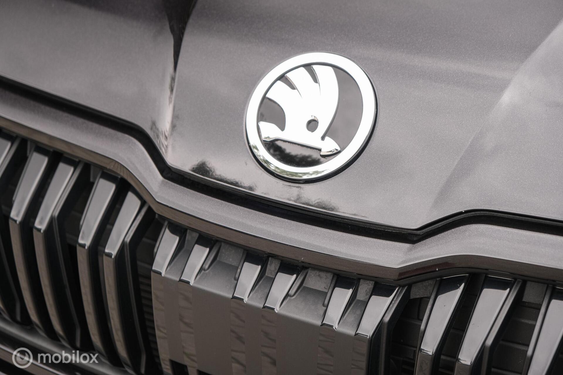 Foto van Skoda Kodiaq