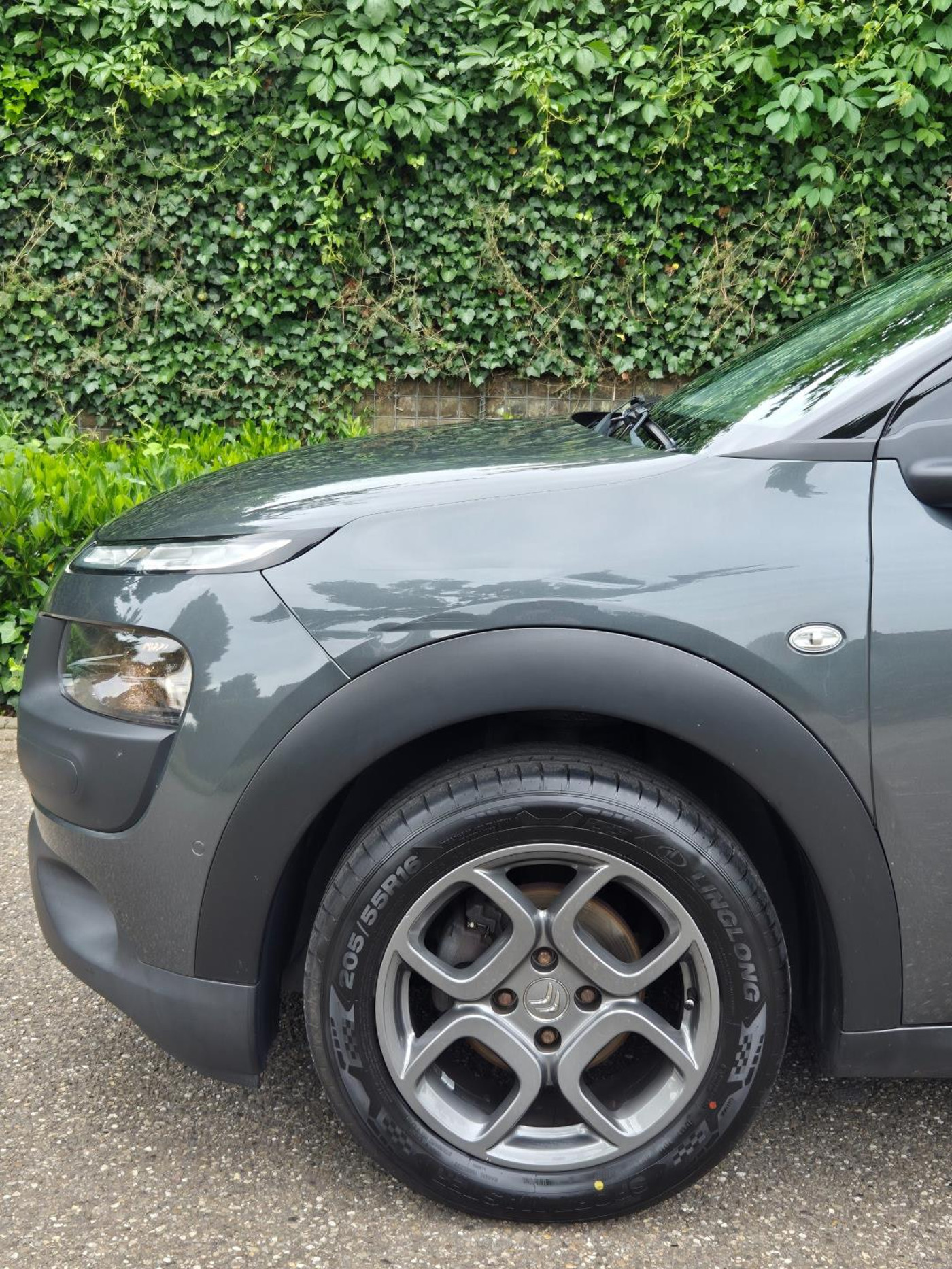 Foto van Citroen C4 Cactus