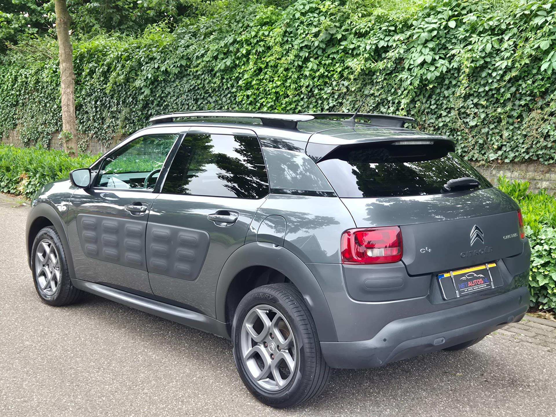 Foto van Citroen C4 Cactus