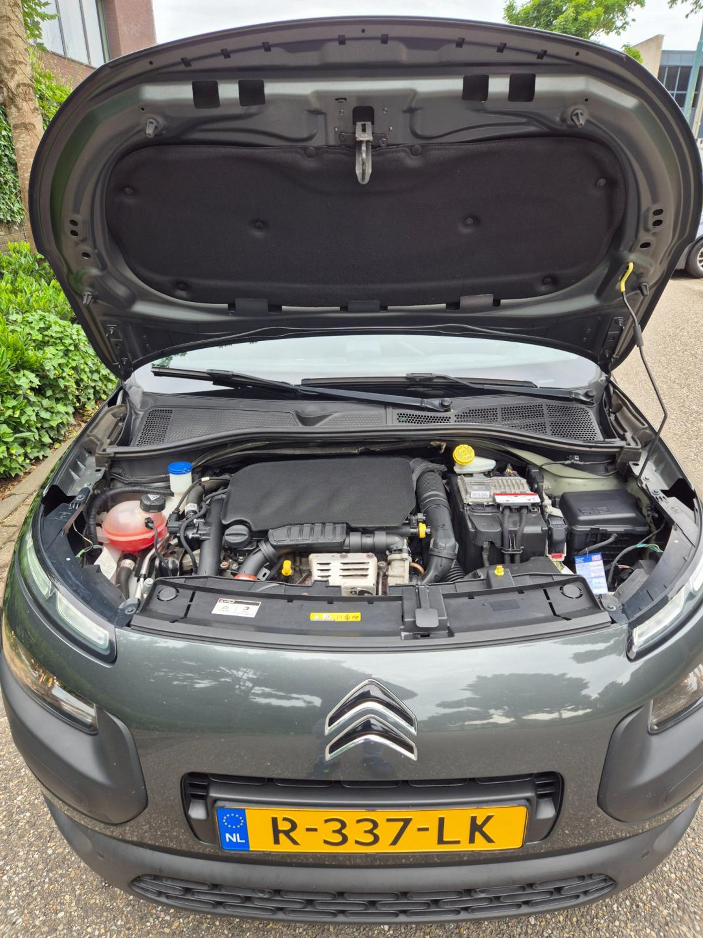 Foto van Citroen C4 Cactus