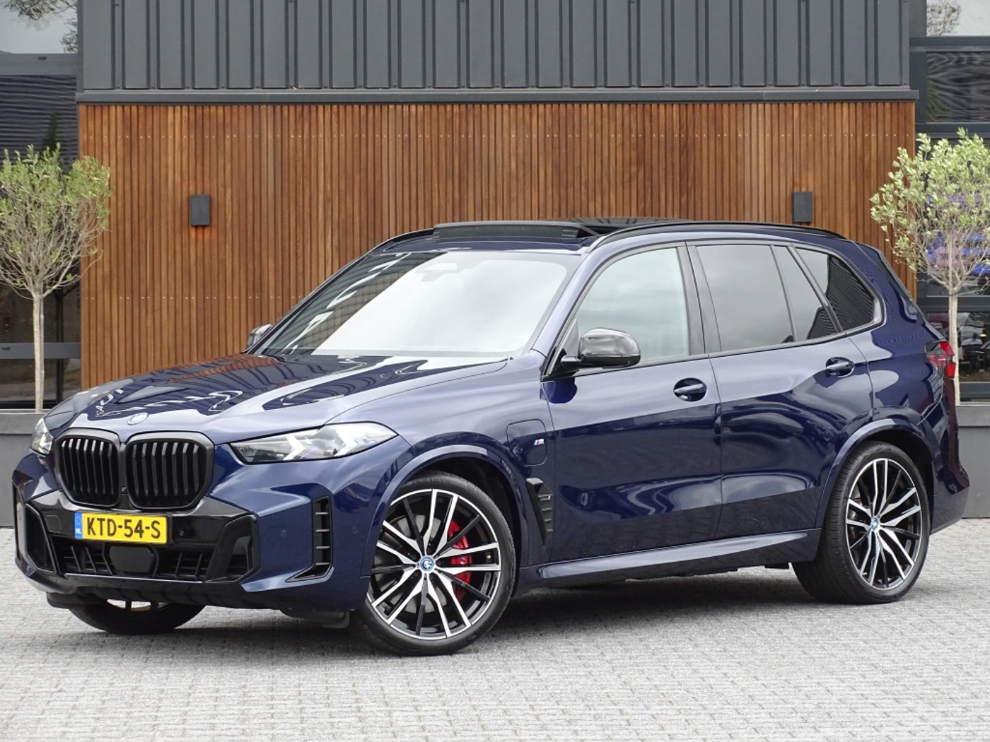 Foto van BMW X5 Xdrive50e