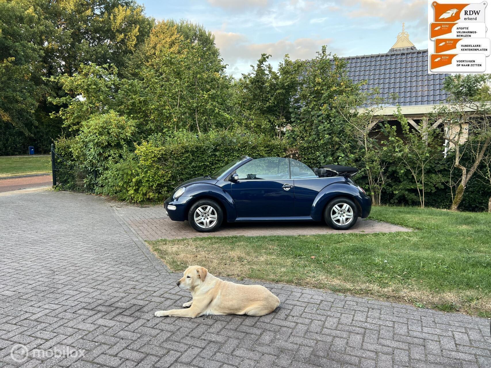 Foto van Volkswagen New Beetle Cabriolet