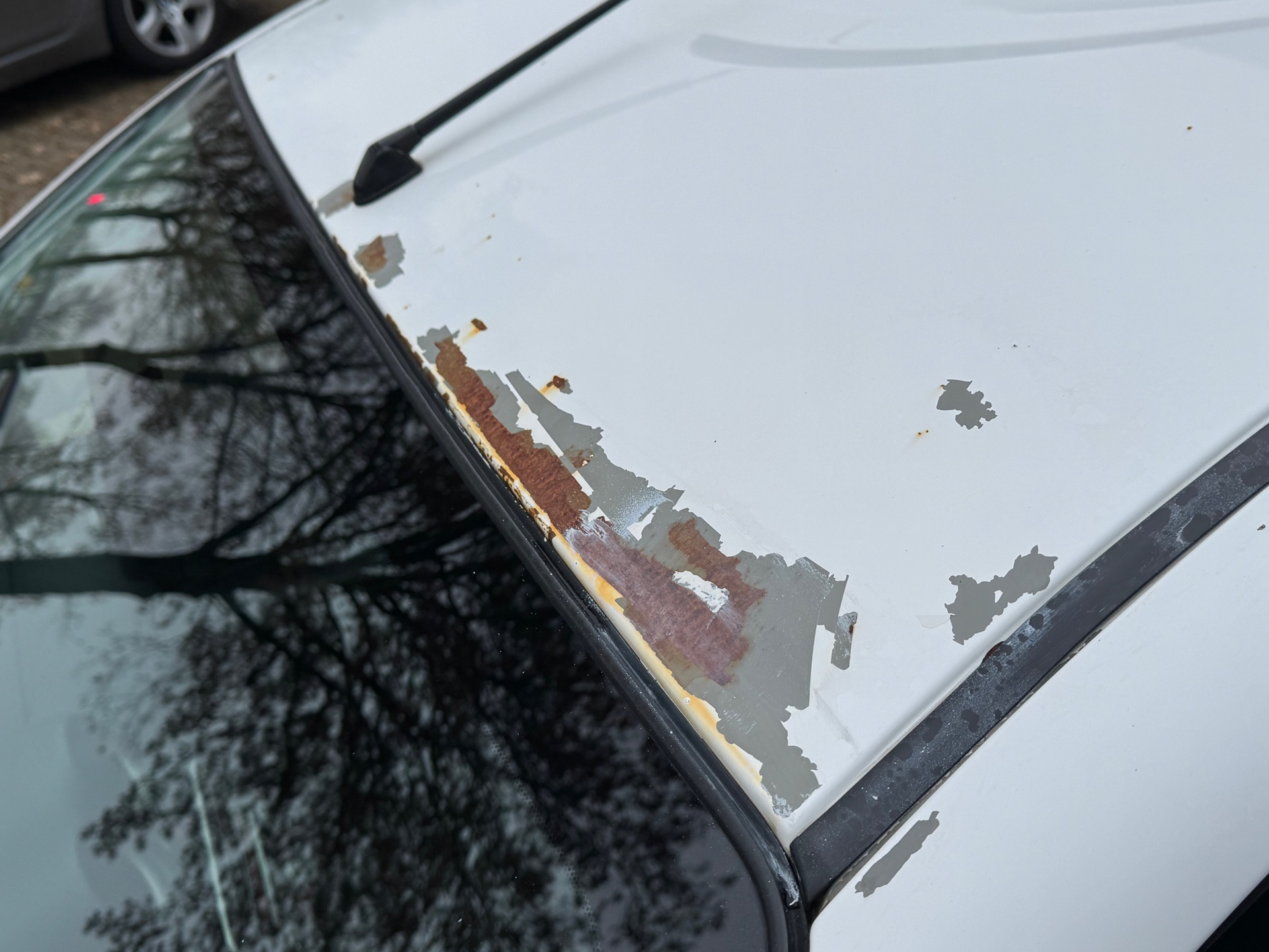 Foto van Nissan Nissan Micra