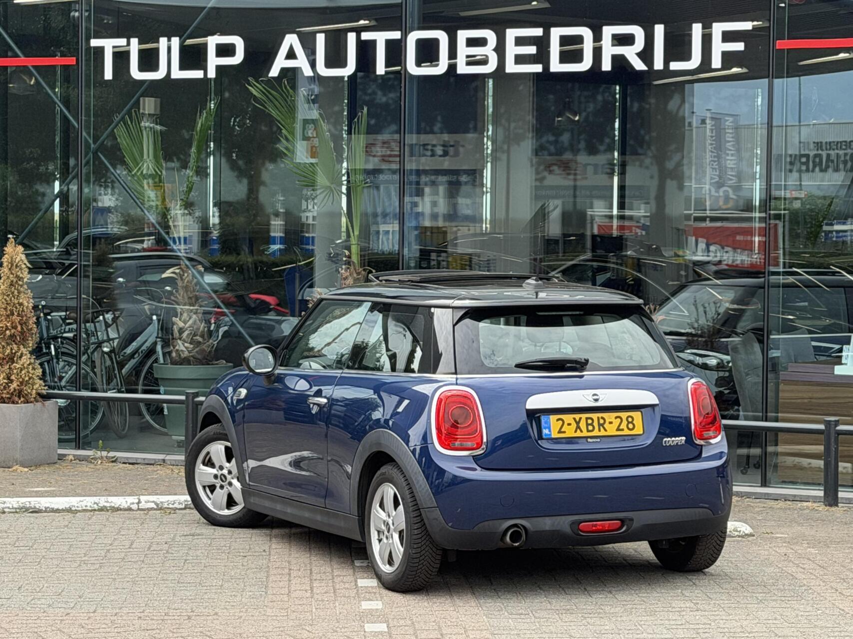 Foto van Mini Mini