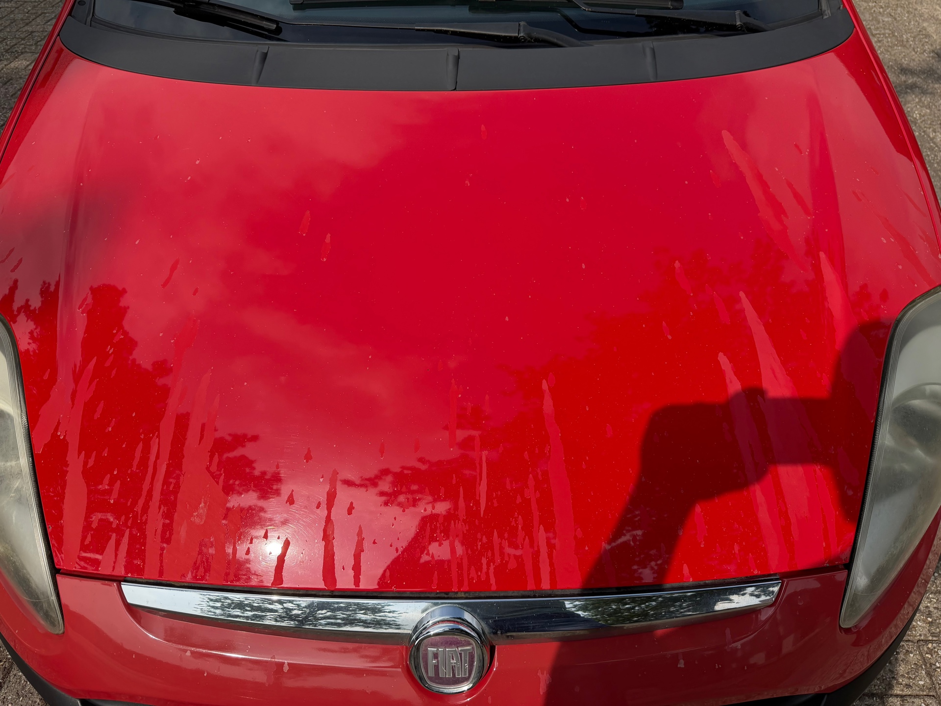 Foto van Fiat Fiat Punto