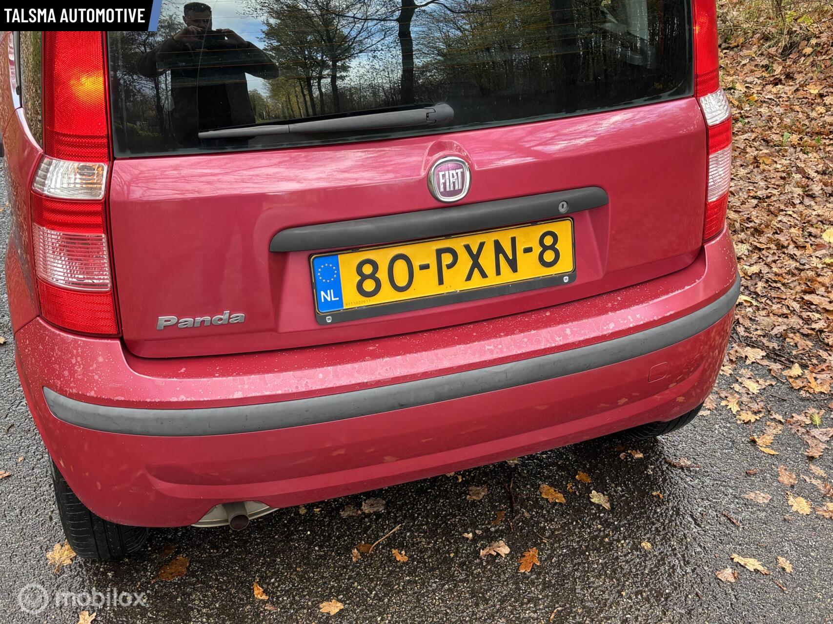 Foto van Fiat Fiat Panda