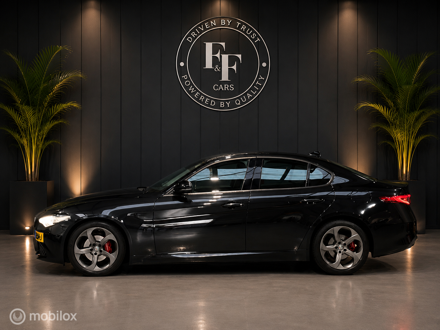 Foto van Alfa Romeo Giulia