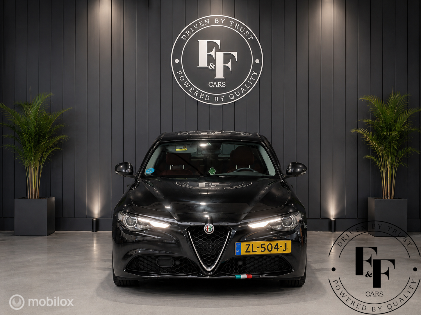 Foto van Alfa Romeo Giulia