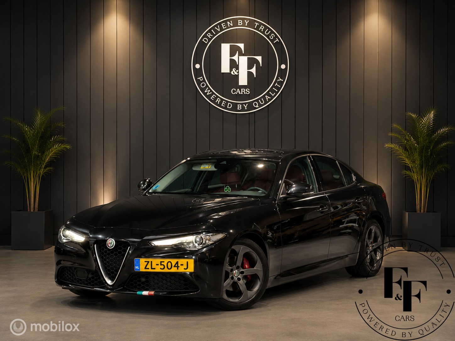Alfa Romeo Giulia 2.2 Super|Automaat|Leder|Harman Kardon|Camera|Navi 2016 - voorkant