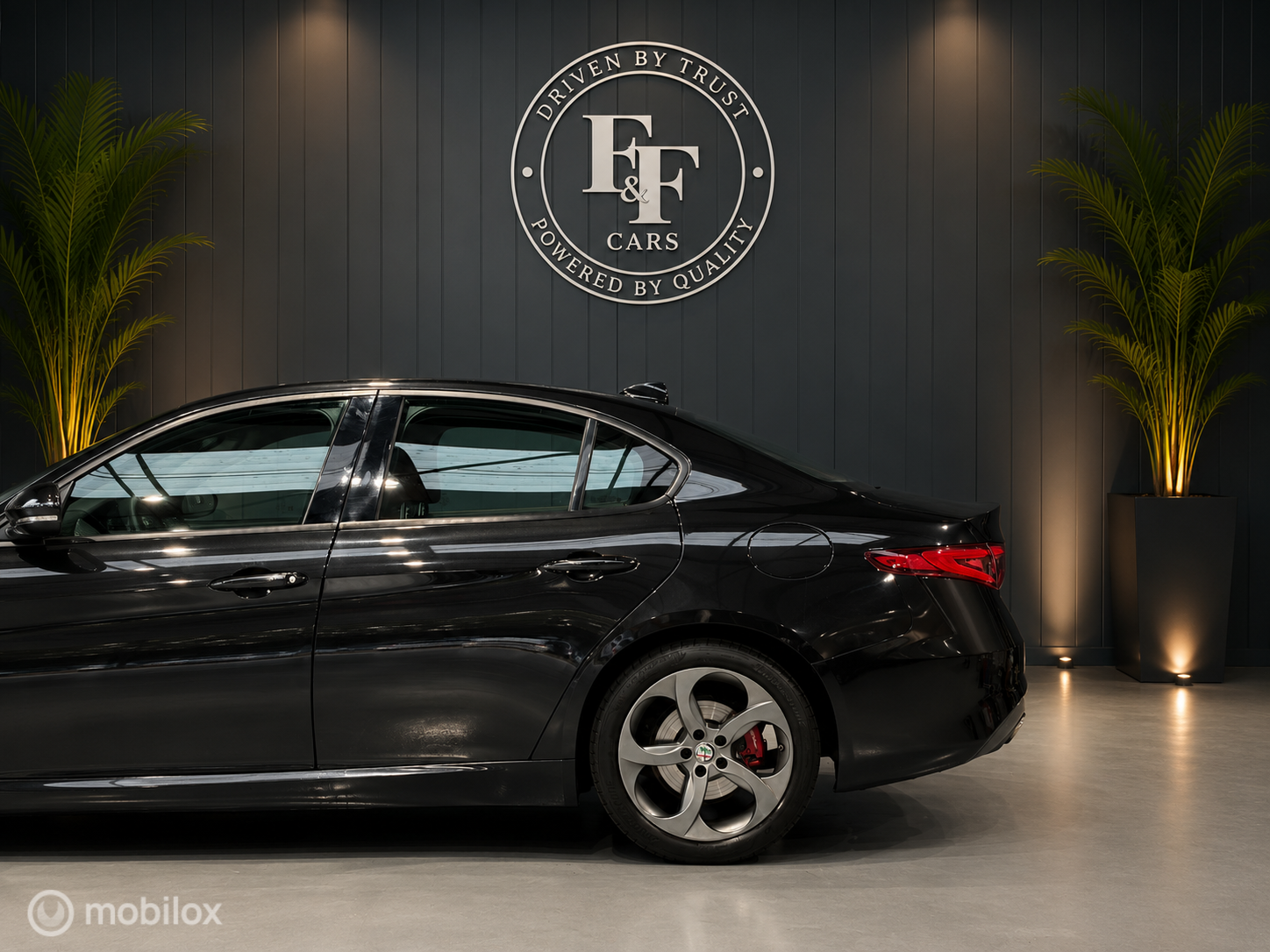 Foto van Alfa Romeo Giulia
