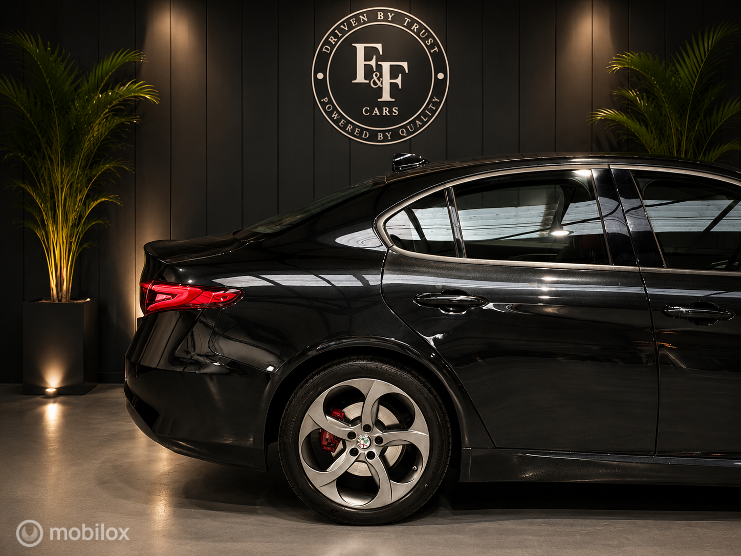 Foto van Alfa Romeo Giulia