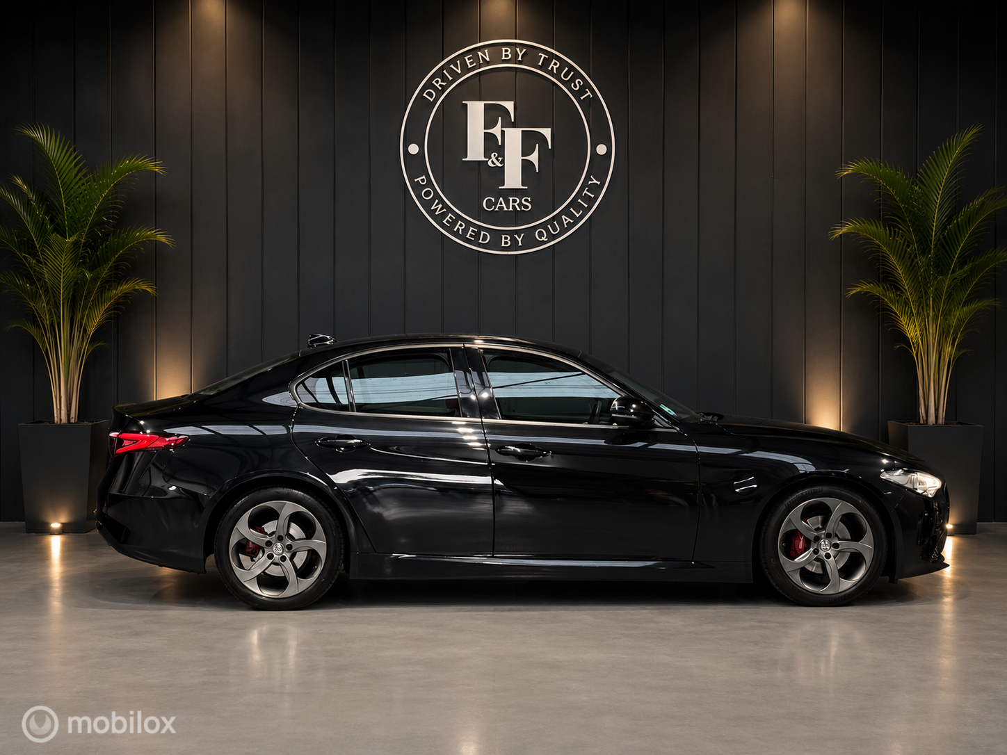 Foto van Alfa Romeo Giulia