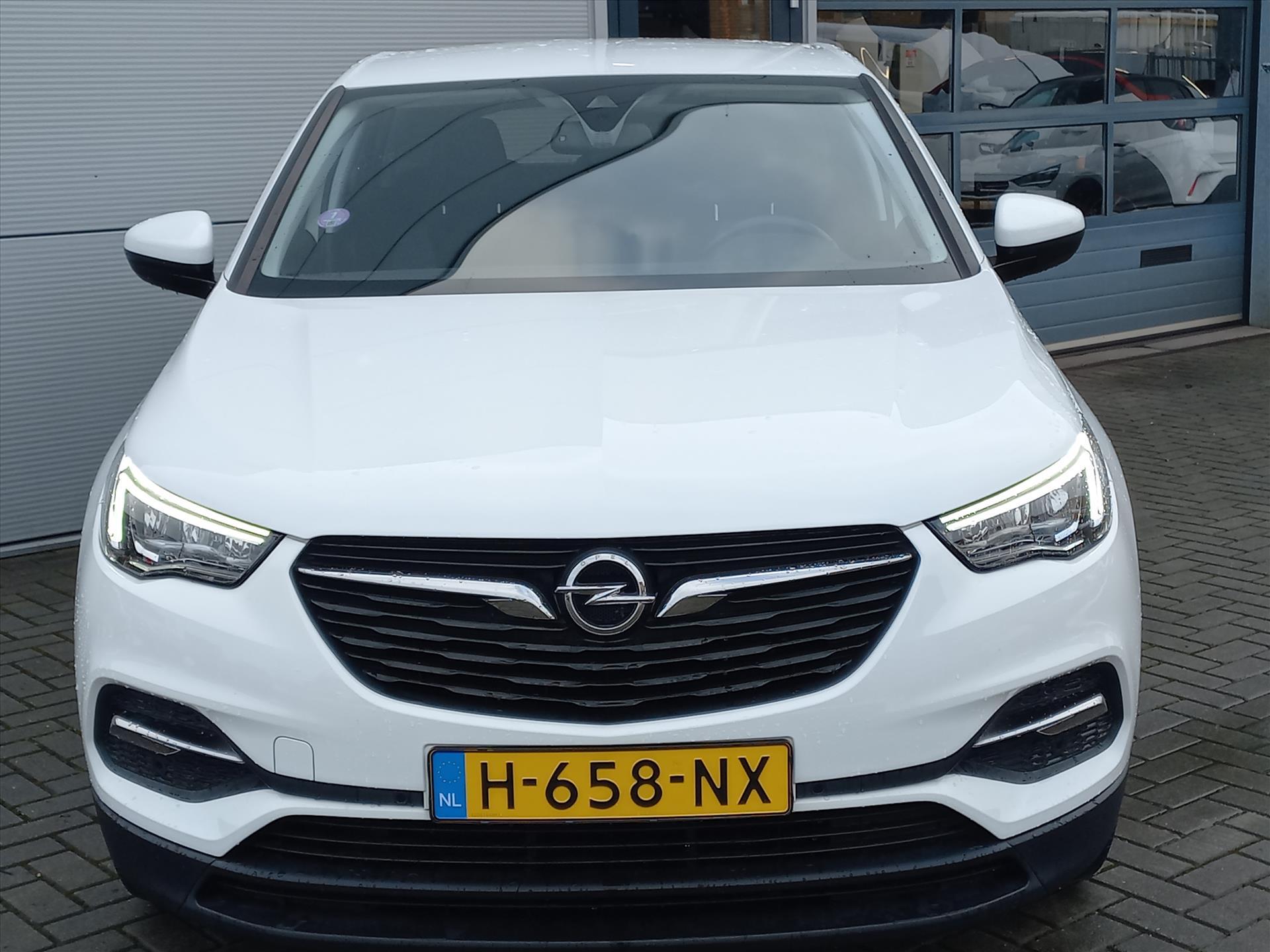 Foto van Opel Grandland