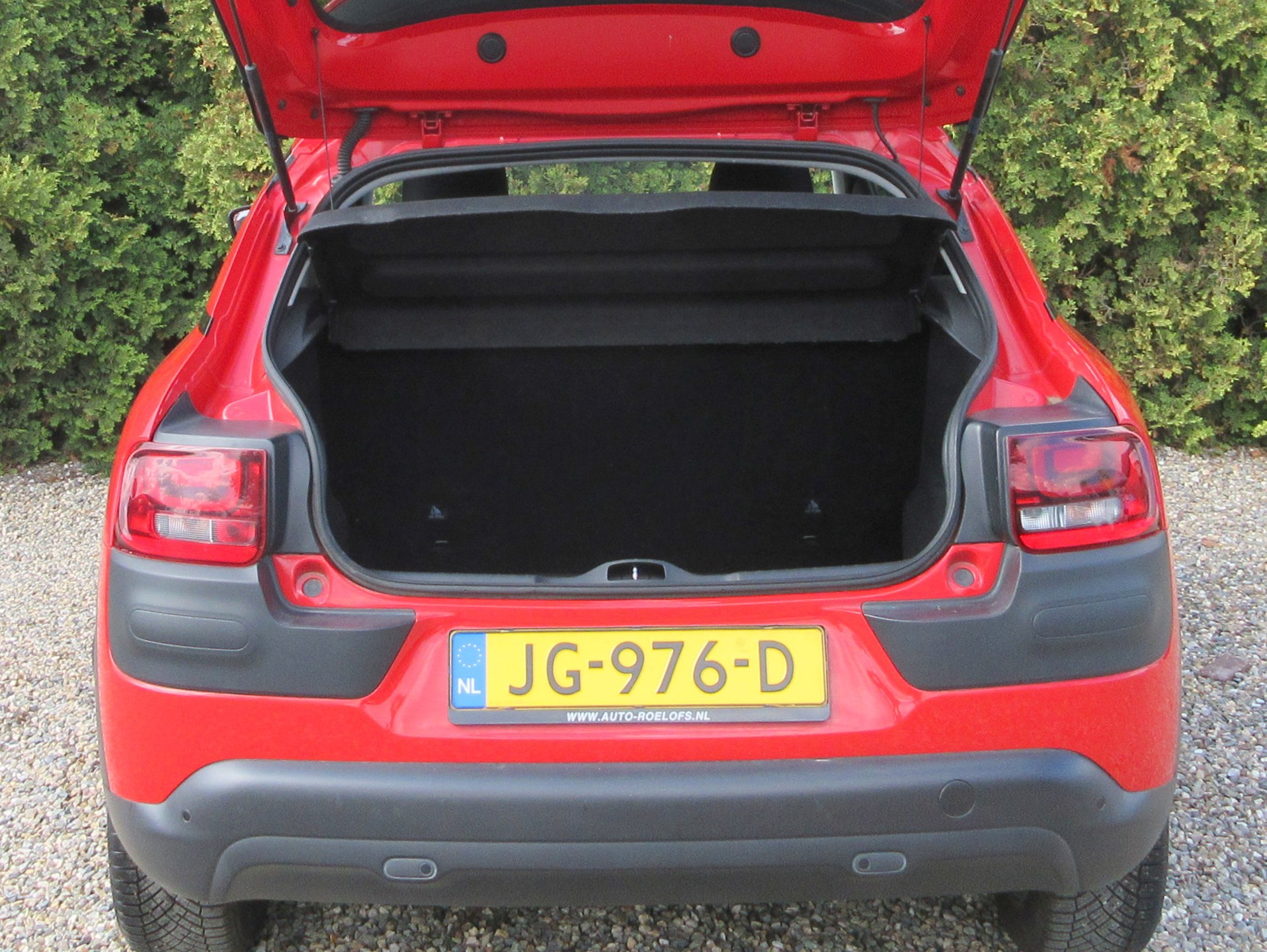 Foto van Citroen C4 Cactus