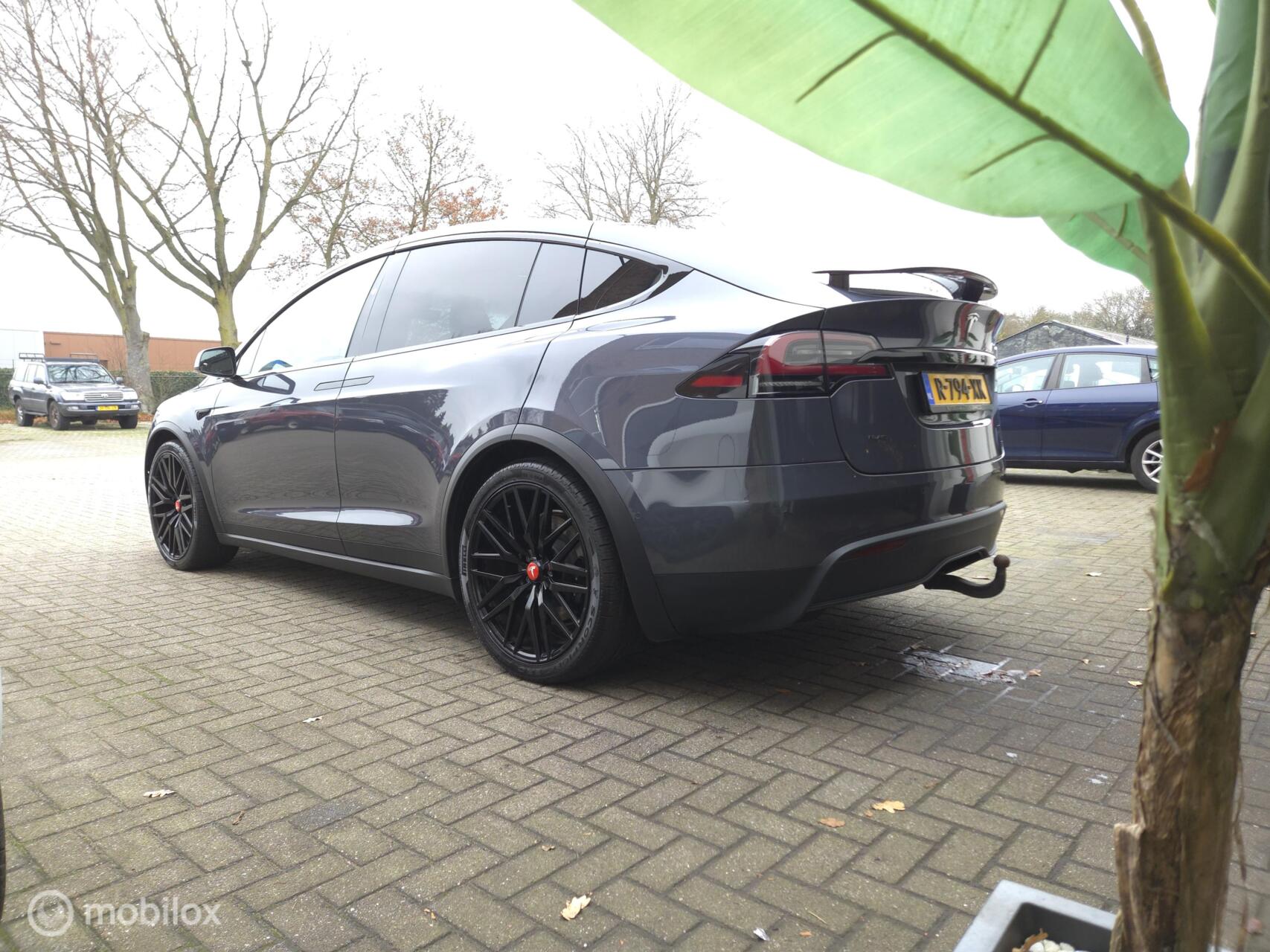 Foto van Tesla Model X