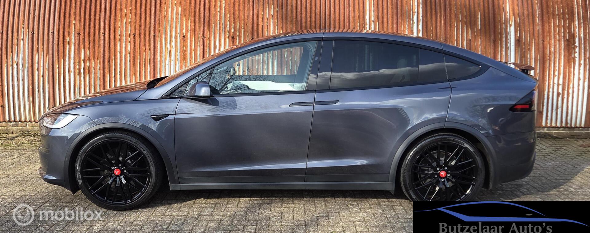 Foto van Tesla Model X