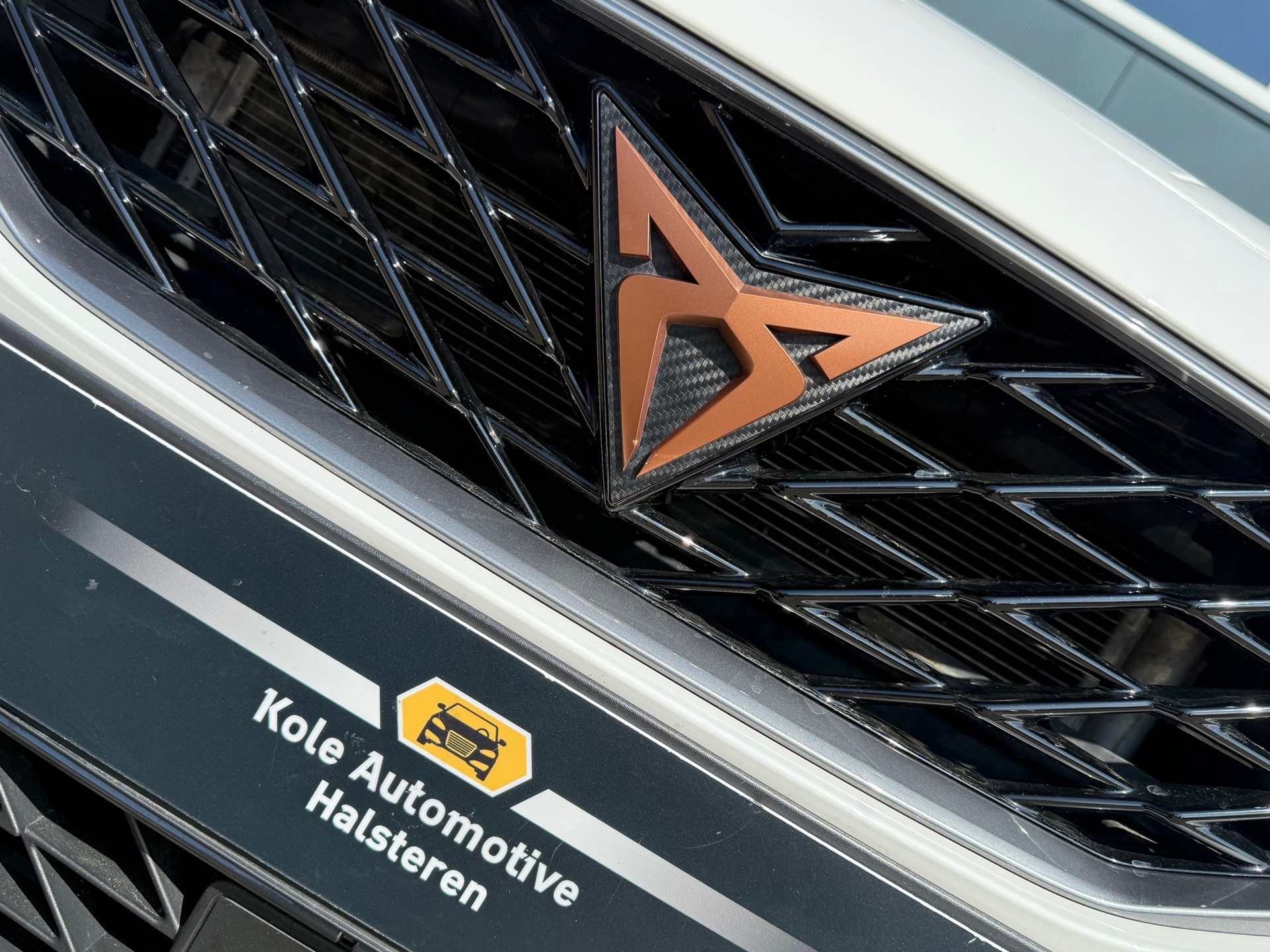 Foto van Cupra Leon