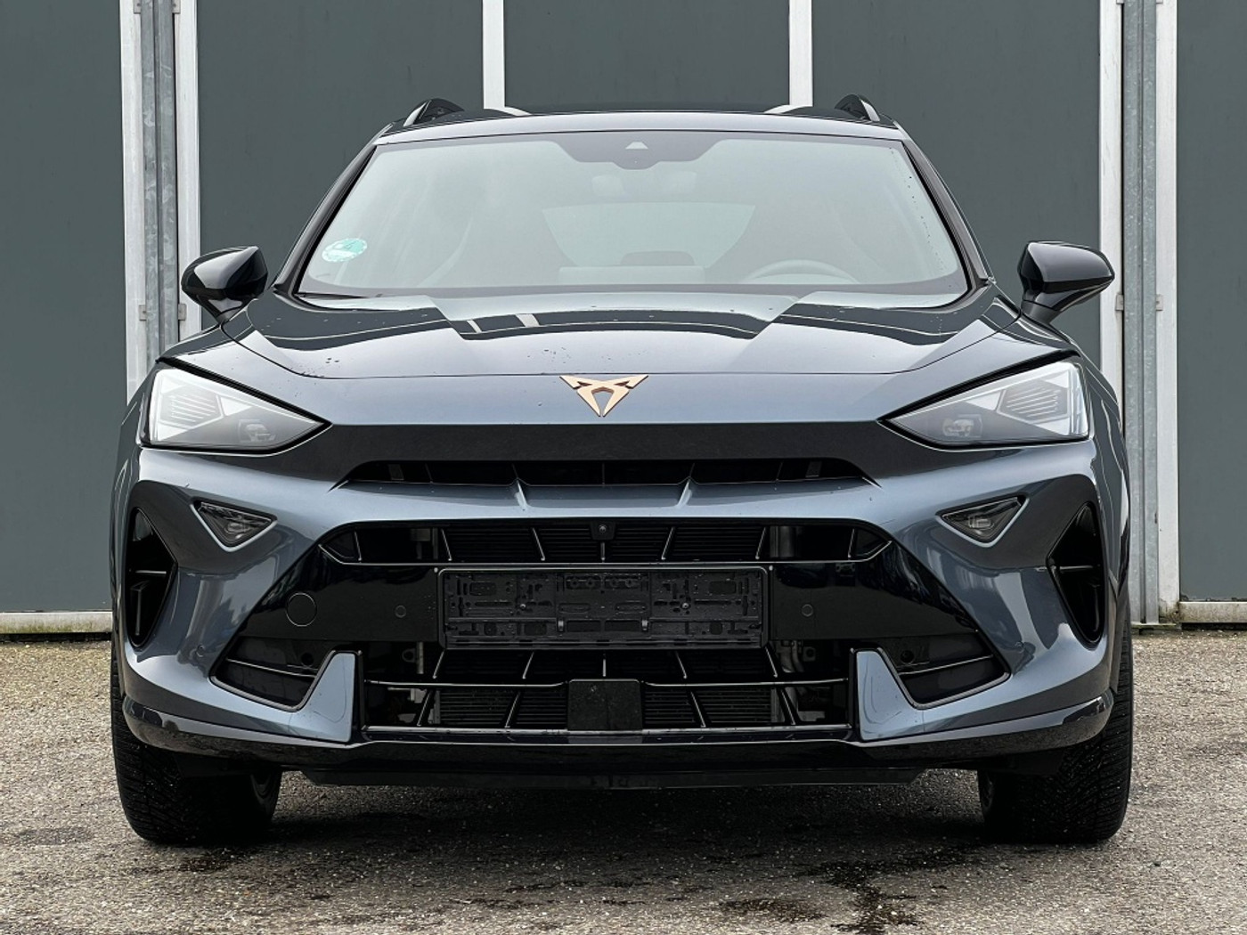 Foto van Cupra Formentor