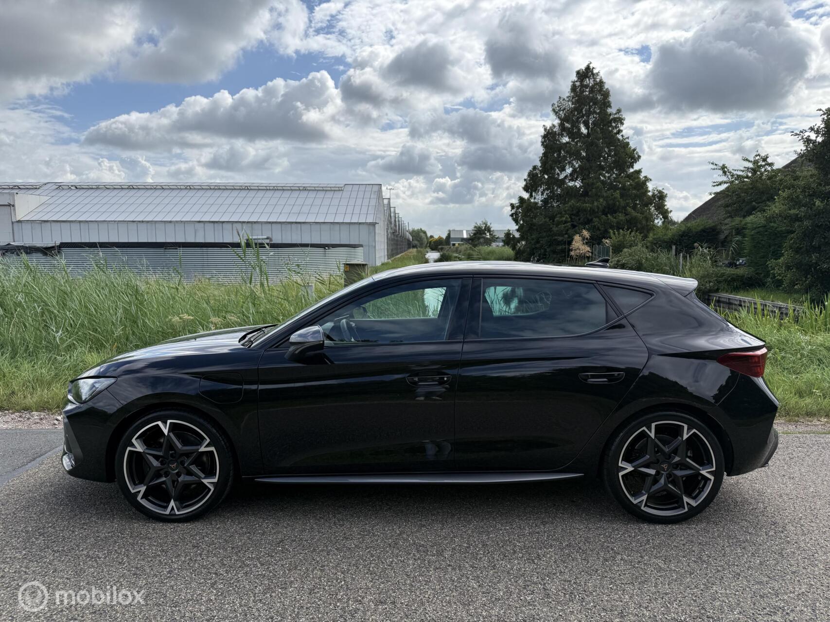 Foto van Cupra Leon