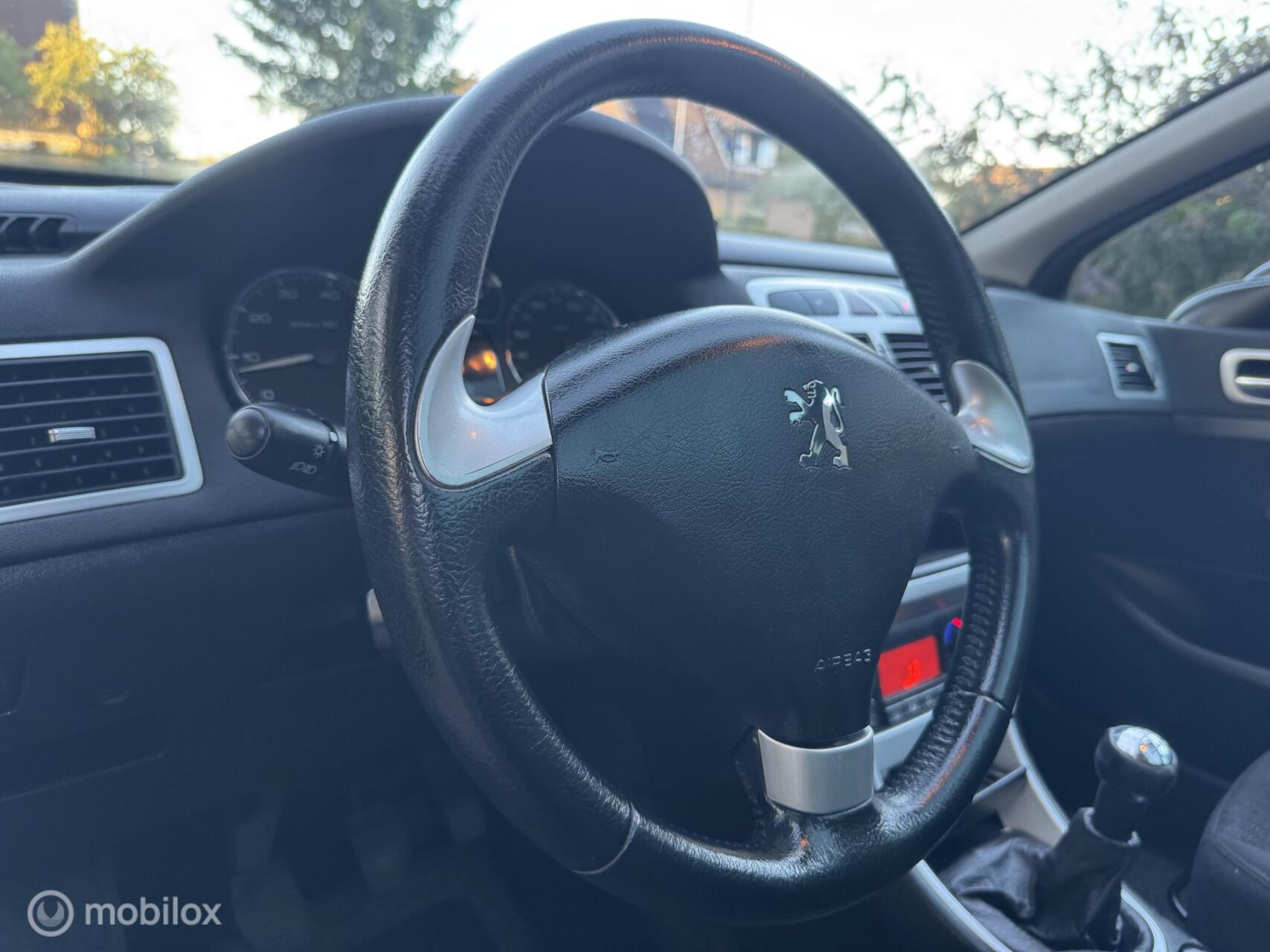 Foto van Peugeot 307
