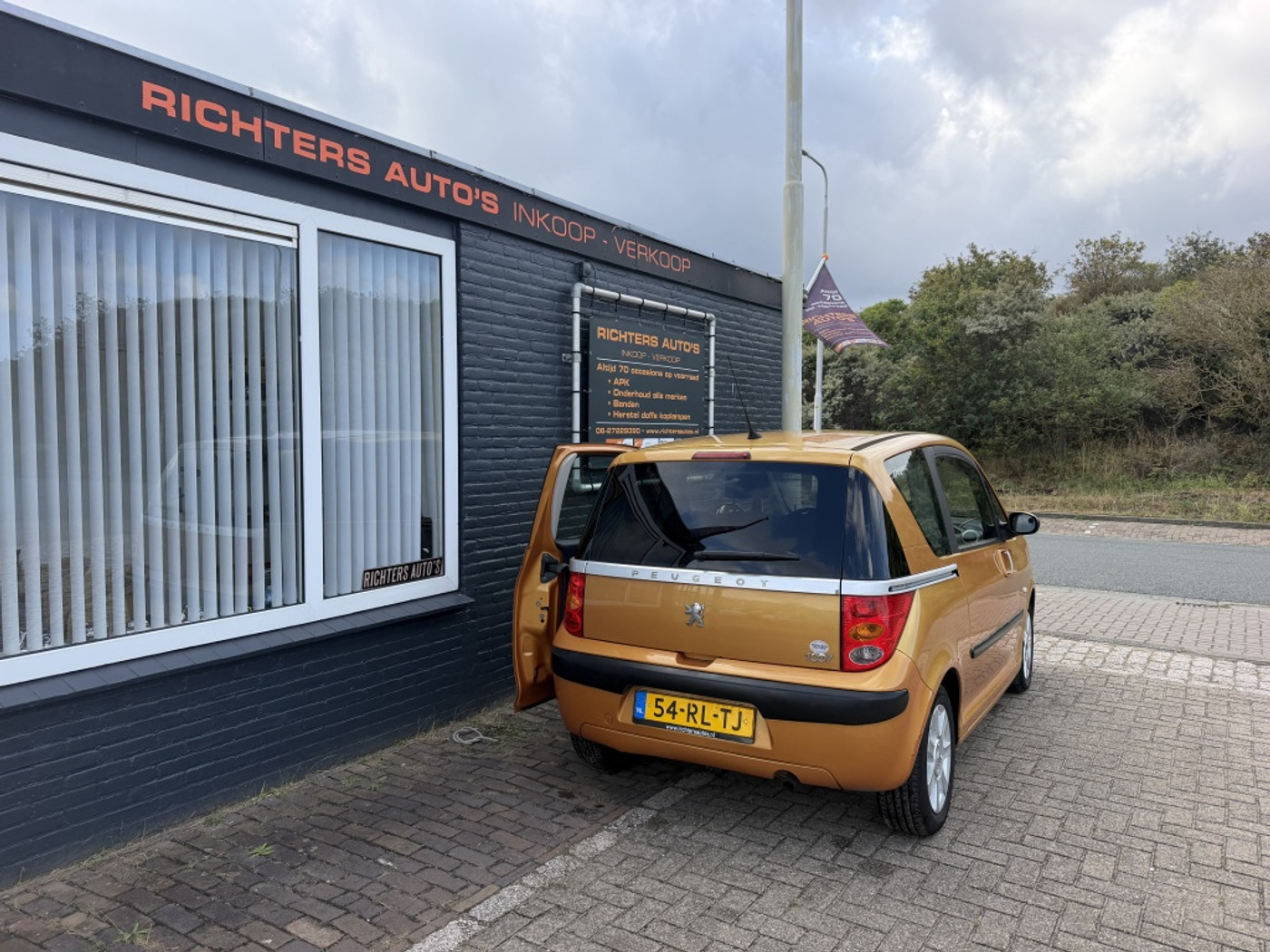 Foto van Peugeot 1007