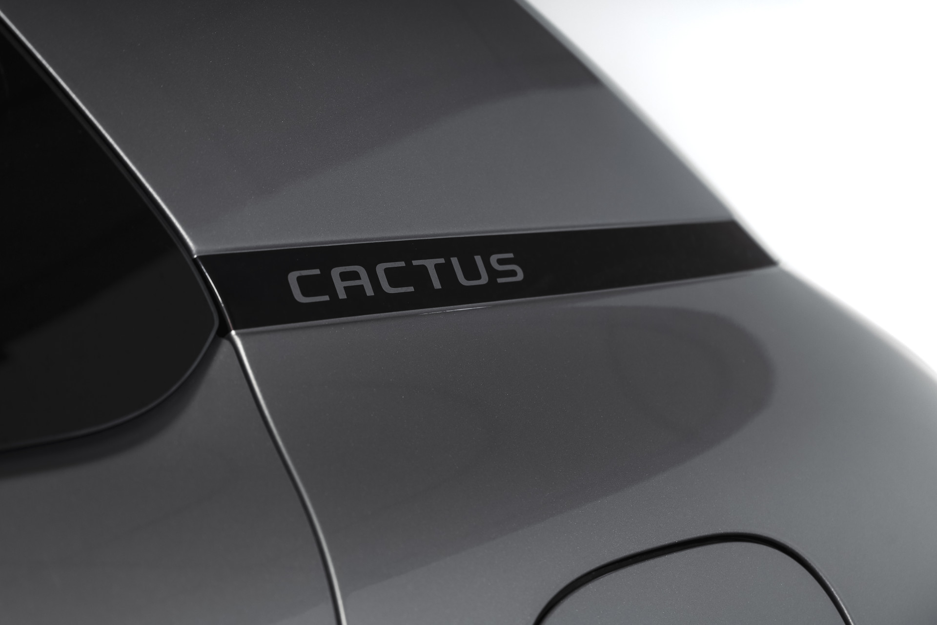 Foto van Citroen C4 Cactus