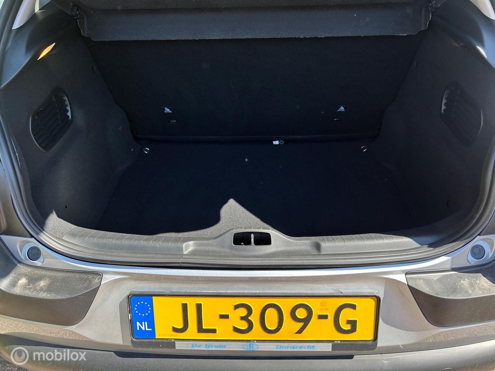 Foto van Citroen C4 Cactus