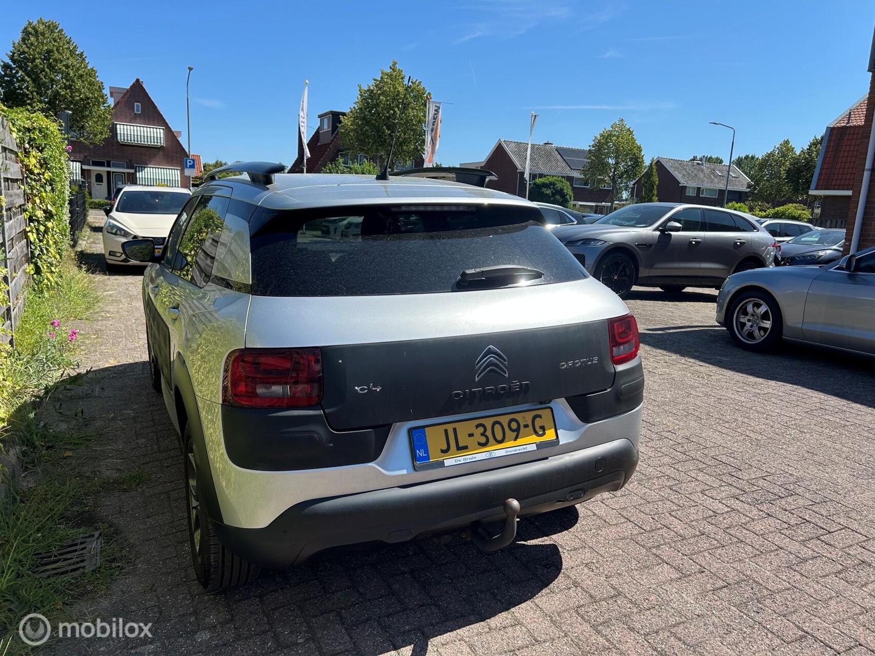 Foto van Citroen C4 Cactus
