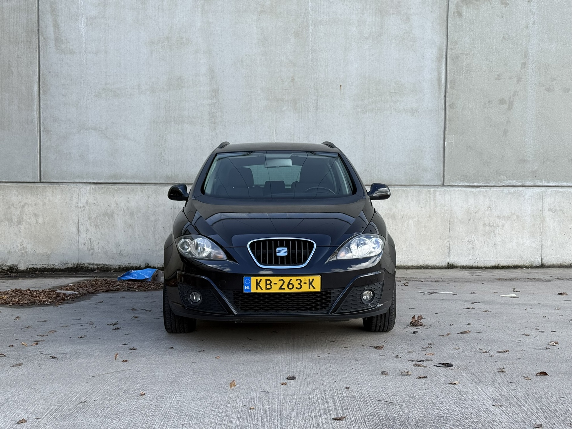 Foto van Seat Altea XL