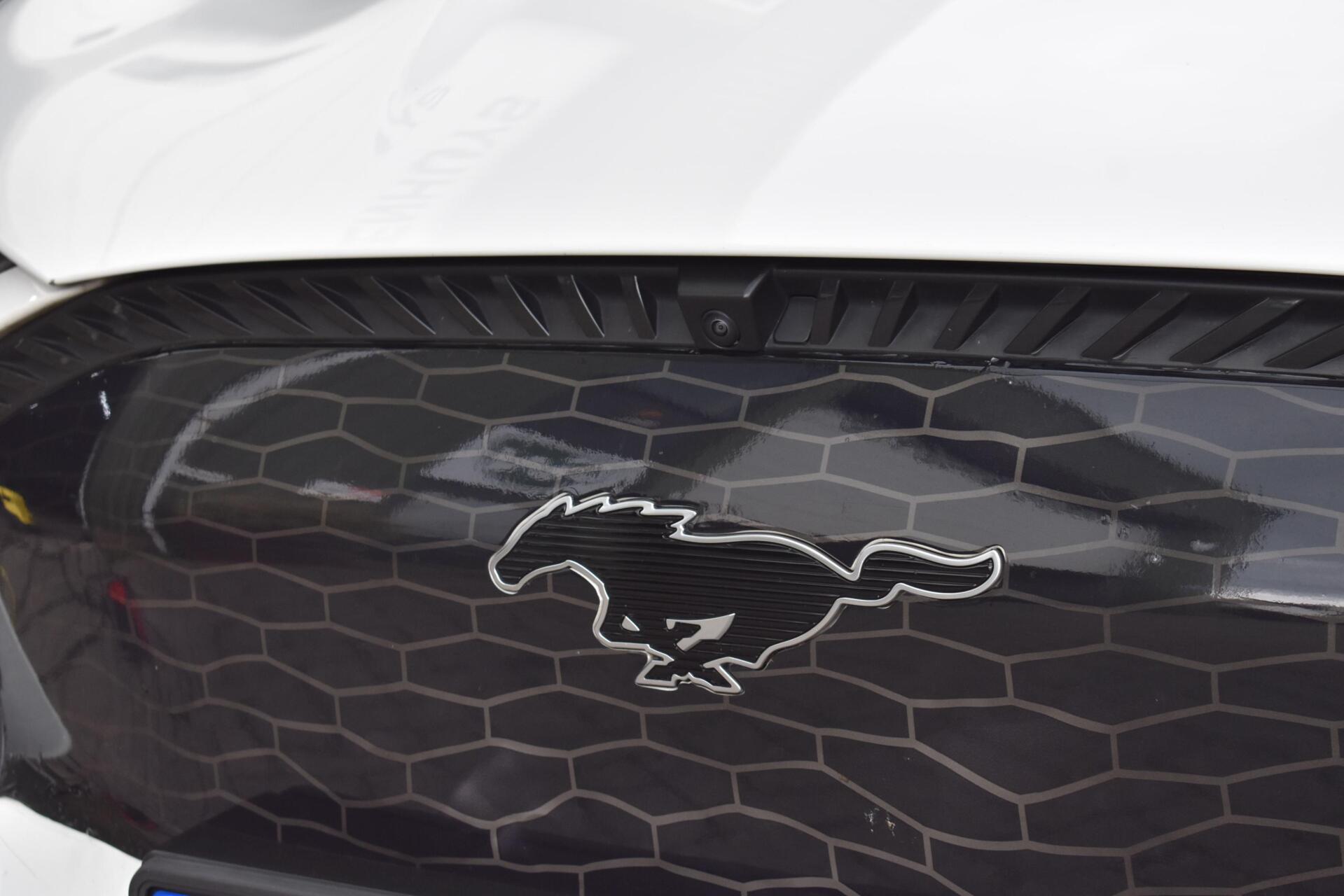 Foto van Ford Mustang Mach-e