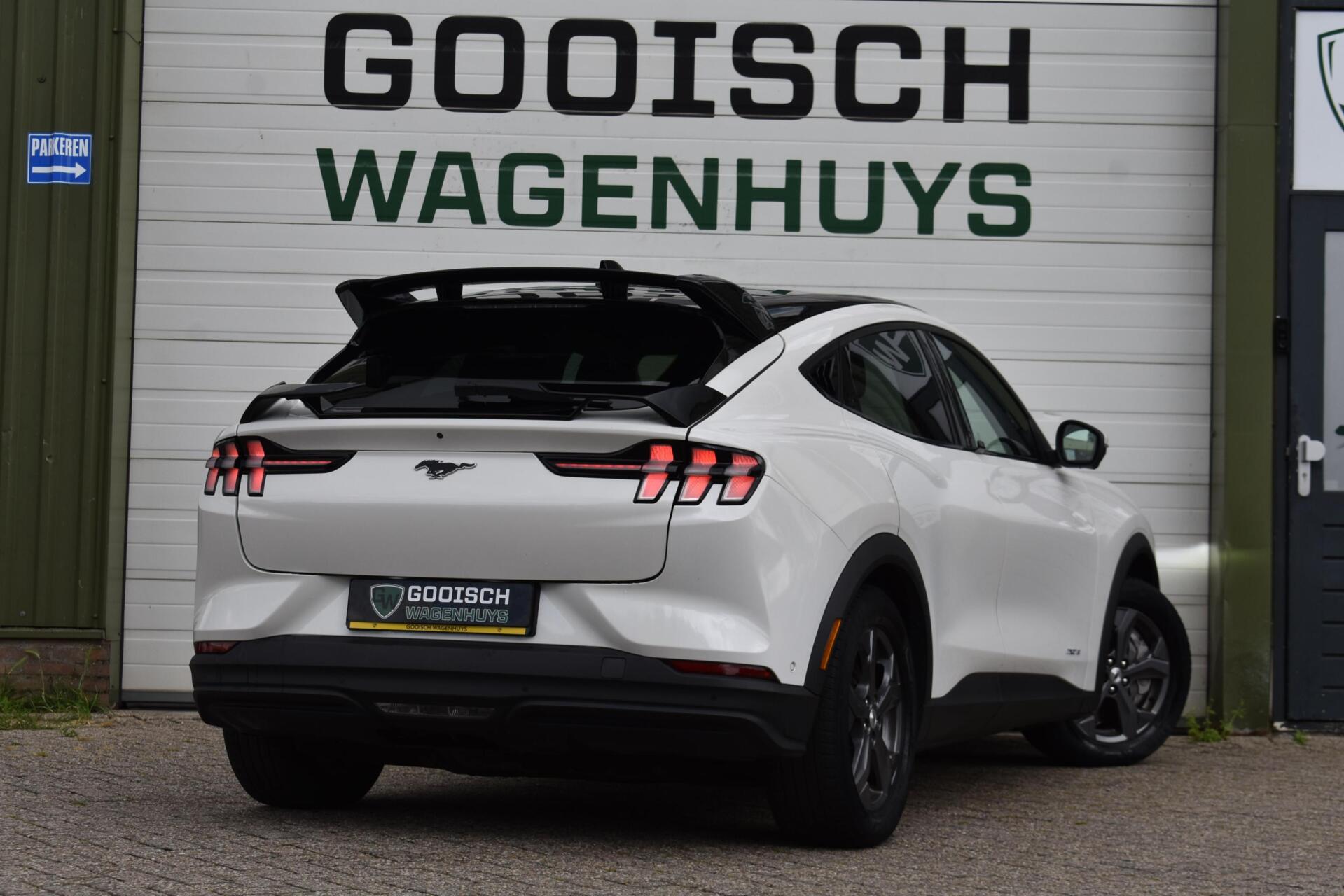 Foto van Ford Mustang Mach-e