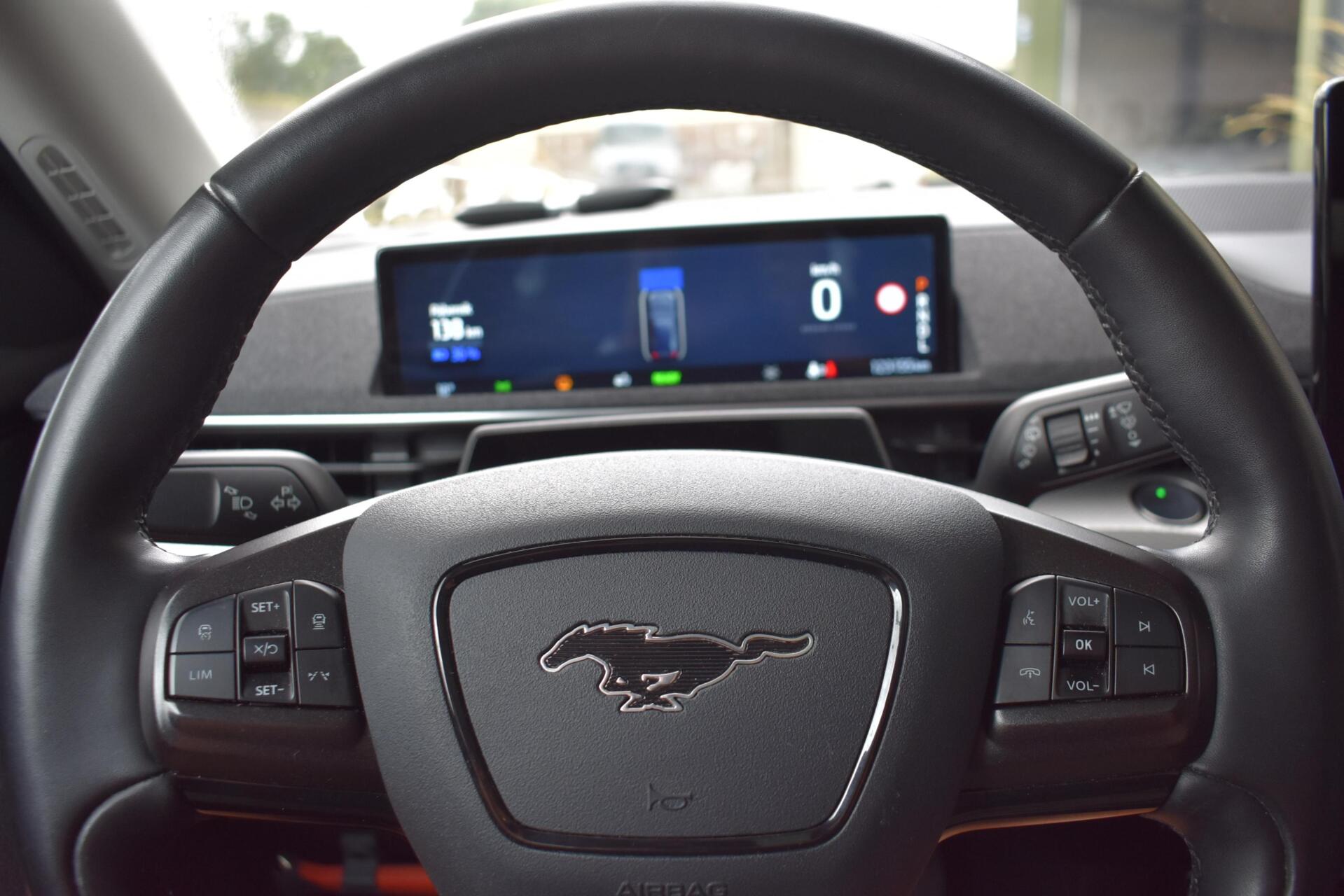 Foto van Ford Mustang Mach-e